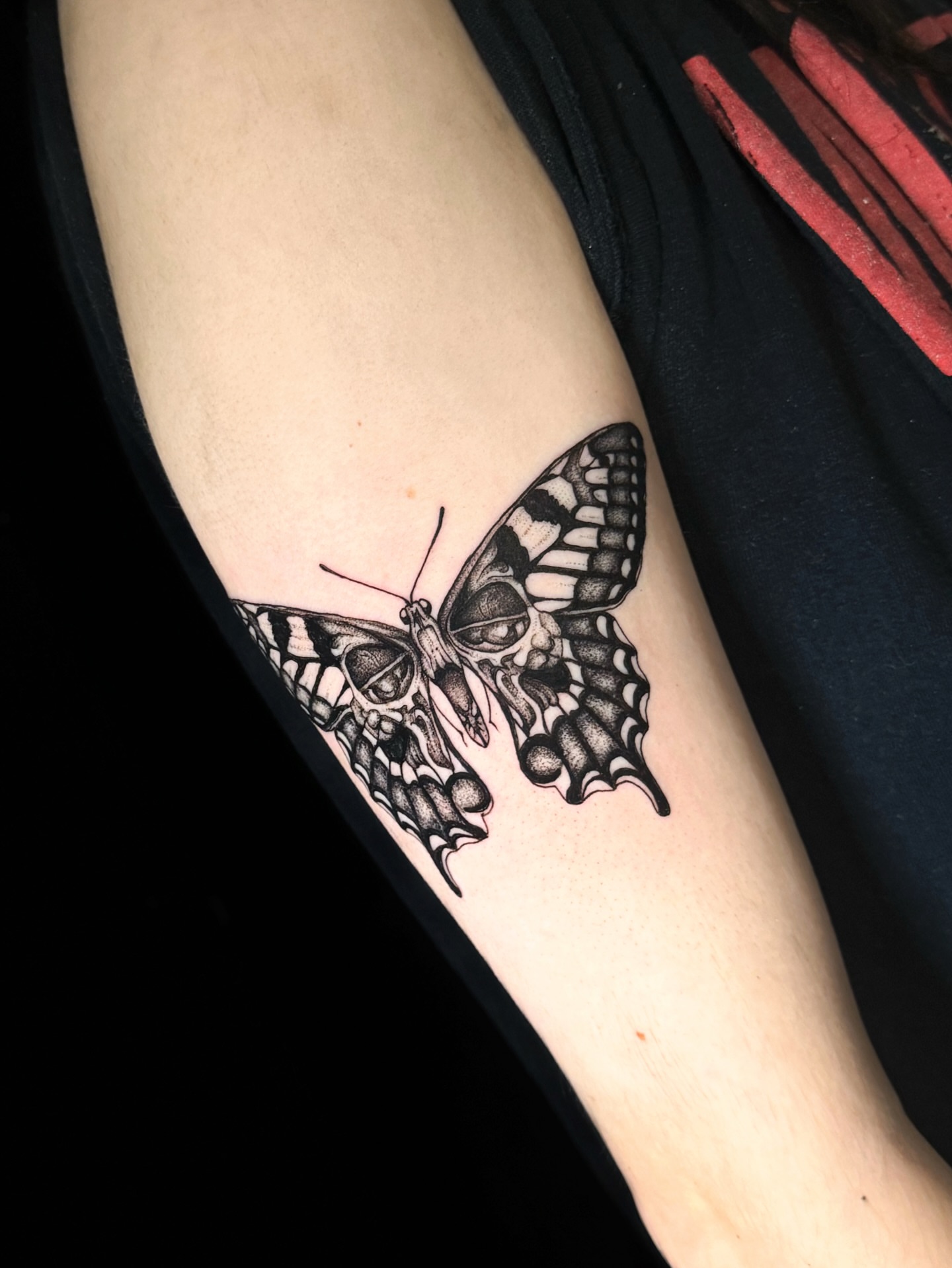 Butterfly realism tattoo on the forearm by Kam Mills