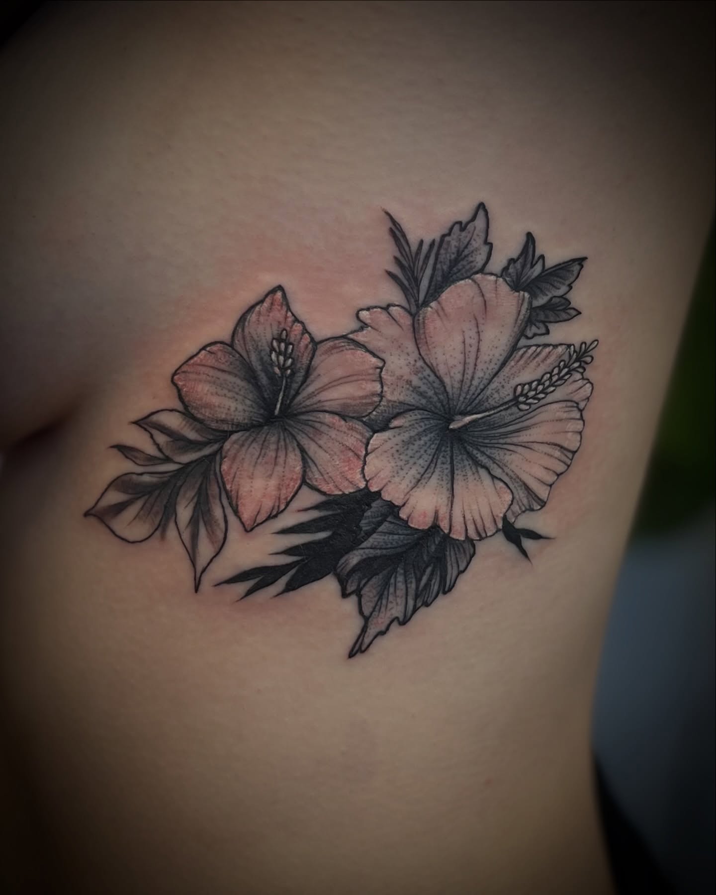 Hibiscus flowers black and grey tattoo on the shoulder by Garden Glow Tattoo