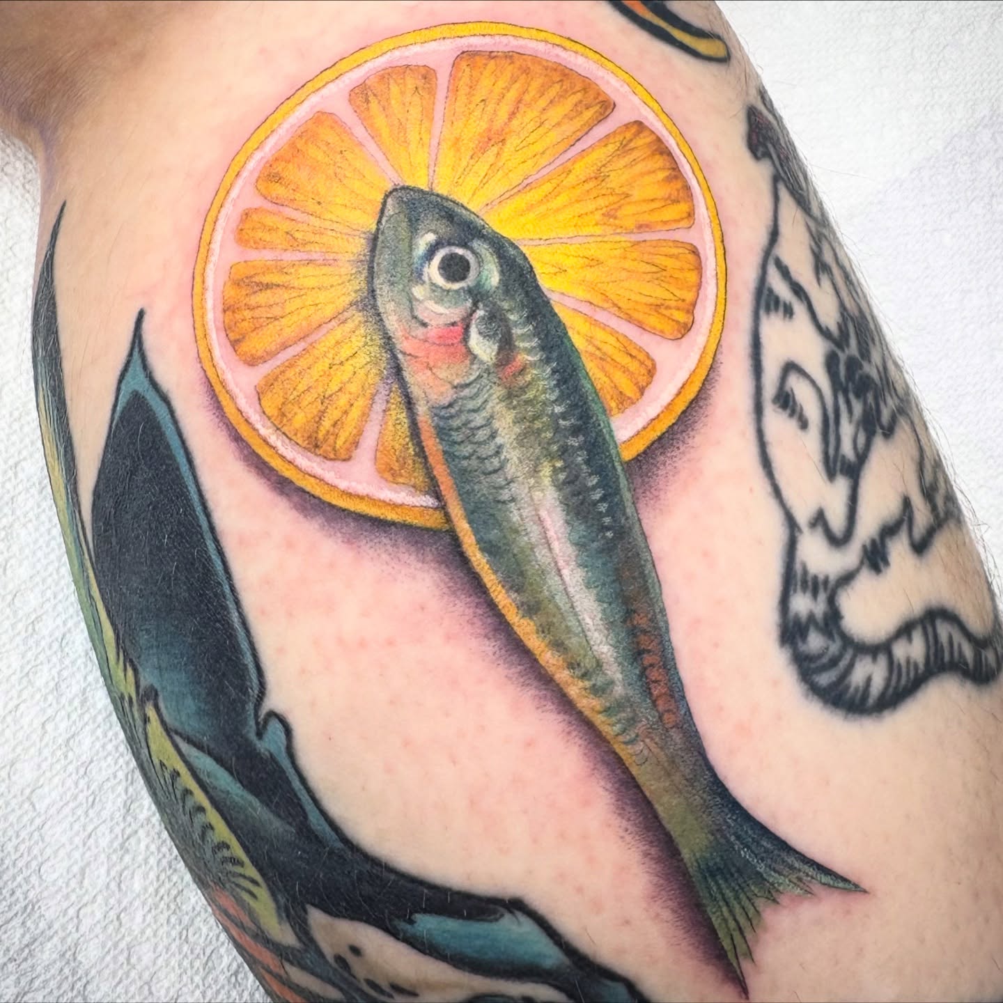 Fish and citrus slice realism tattoo on the upper arm by Lu Taylor, Minneapolis, Minnesota