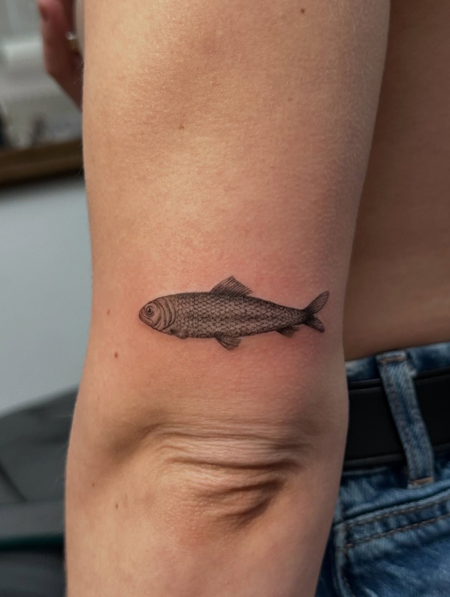 Fish realism tattoo on the forearm by Piccolino, Cambridge, Massachusetts
