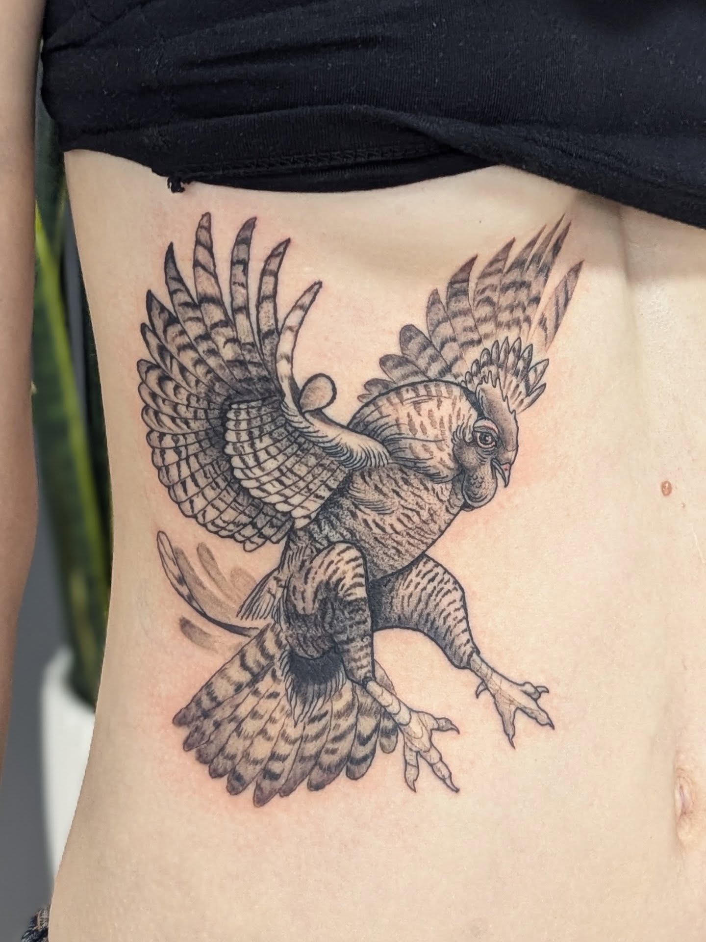 Tattoo by @bearclawtattoo — black_and_grey