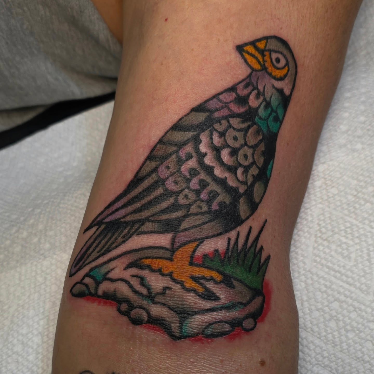 Bird American traditional tattoo on the forearm by Mitch Braver
