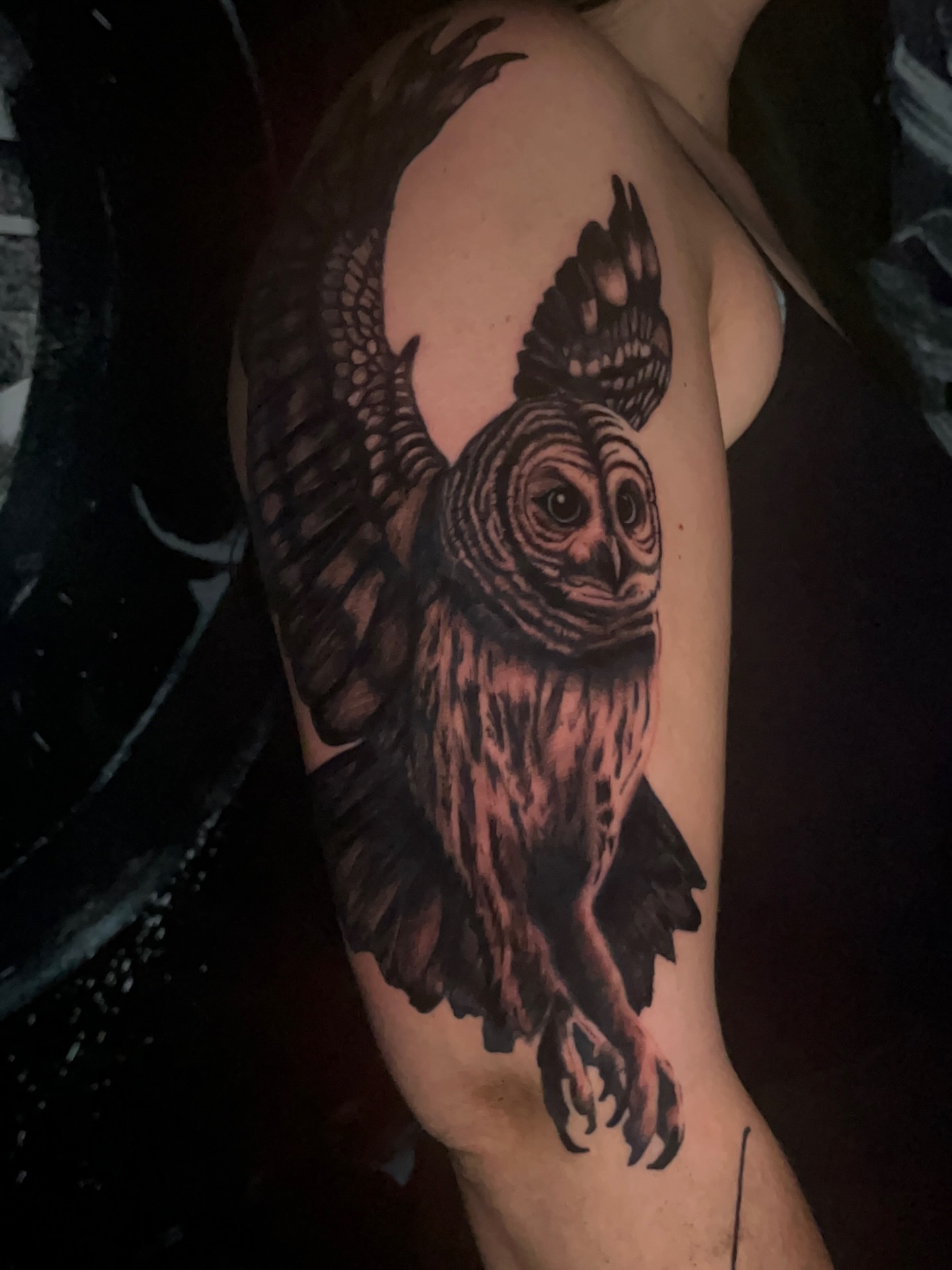 Owl black and grey tattoo on the shoulder by Ryan Hindenach