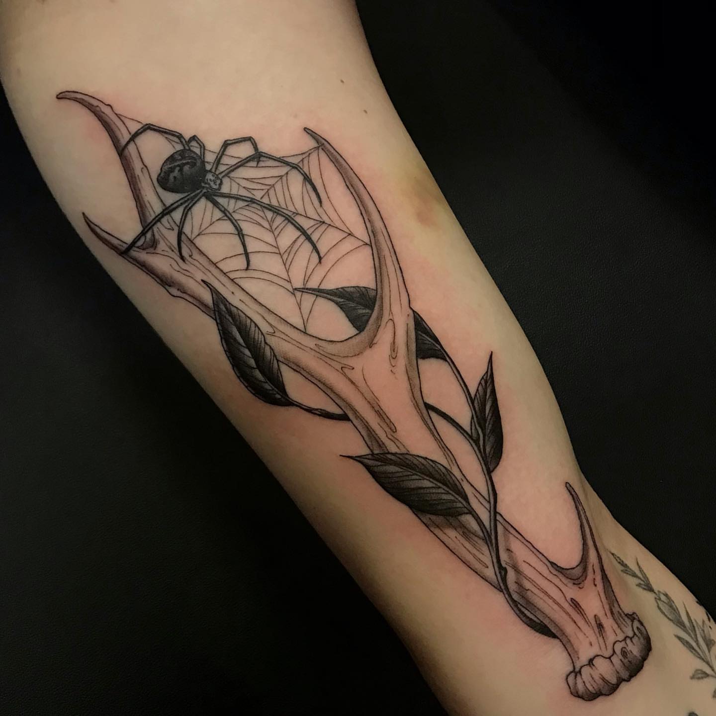 Spider and web realism tattoo on the forearm by Rick Rayne