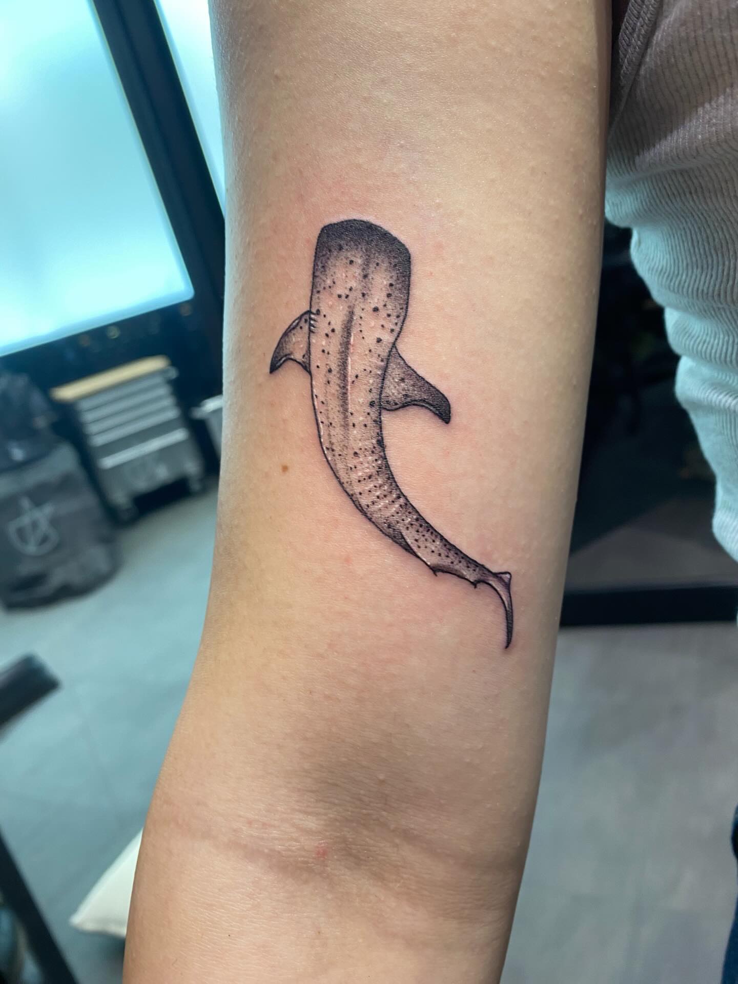 Whale shark dotwork tattoo on the forearm by @dom_macio_tattoo