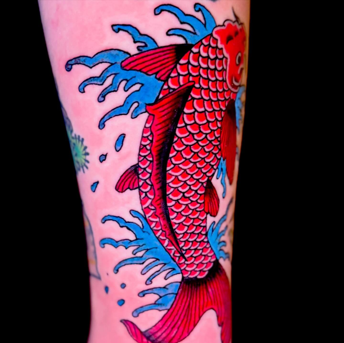 Koi fish American traditional tattoo on the forearm by Henry Bubula, Minneapolis, Minnesota