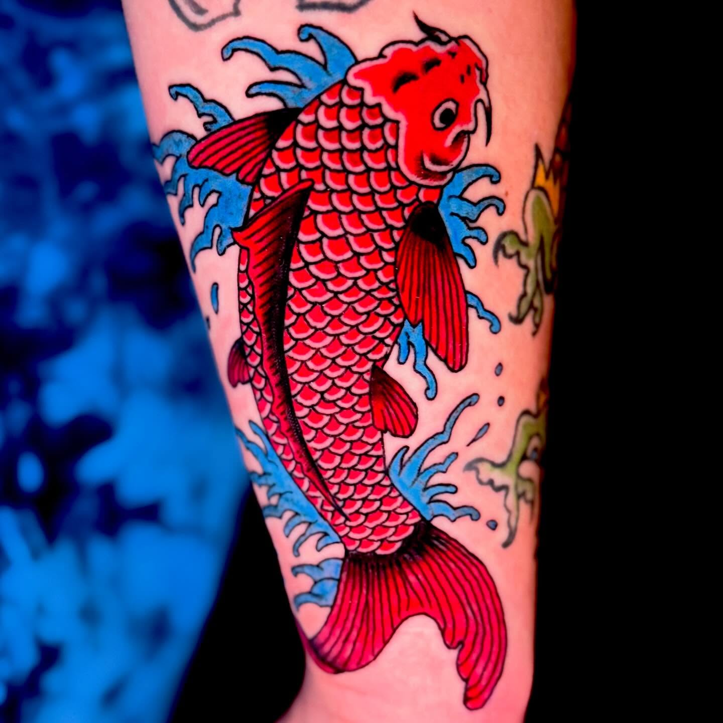 Koi fish American traditional tattoo on the forearm by Henry Bubula, Minneapolis, Minnesota