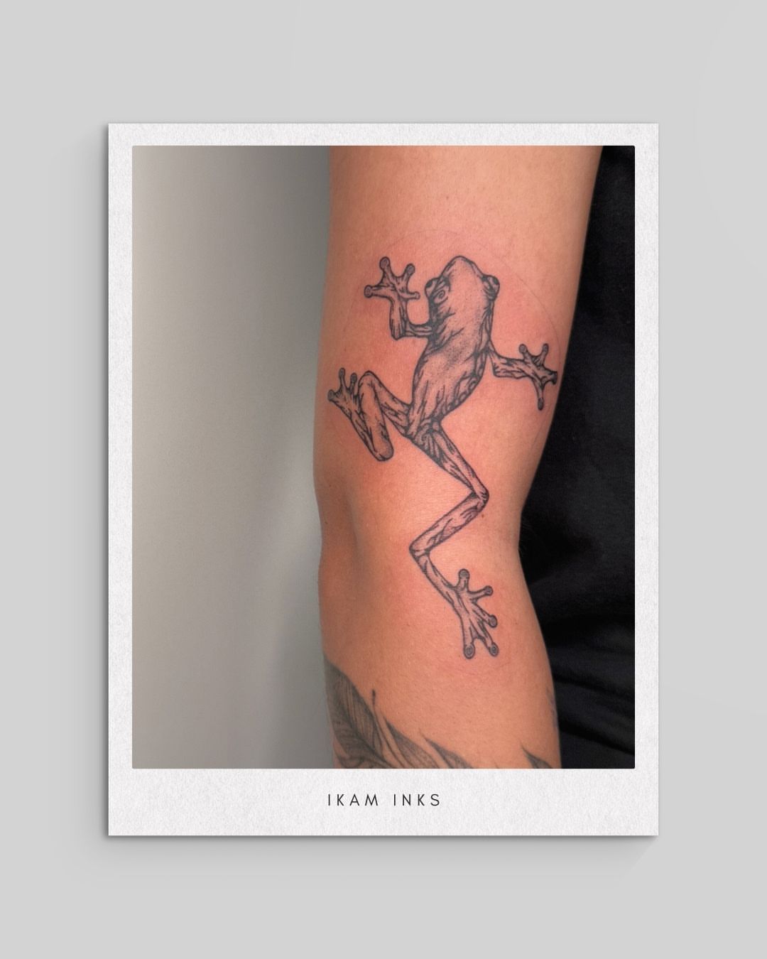 Frog black and grey tattoo on the forearm by Bella - Austin Tattoo Artist ₓ˚. ୭