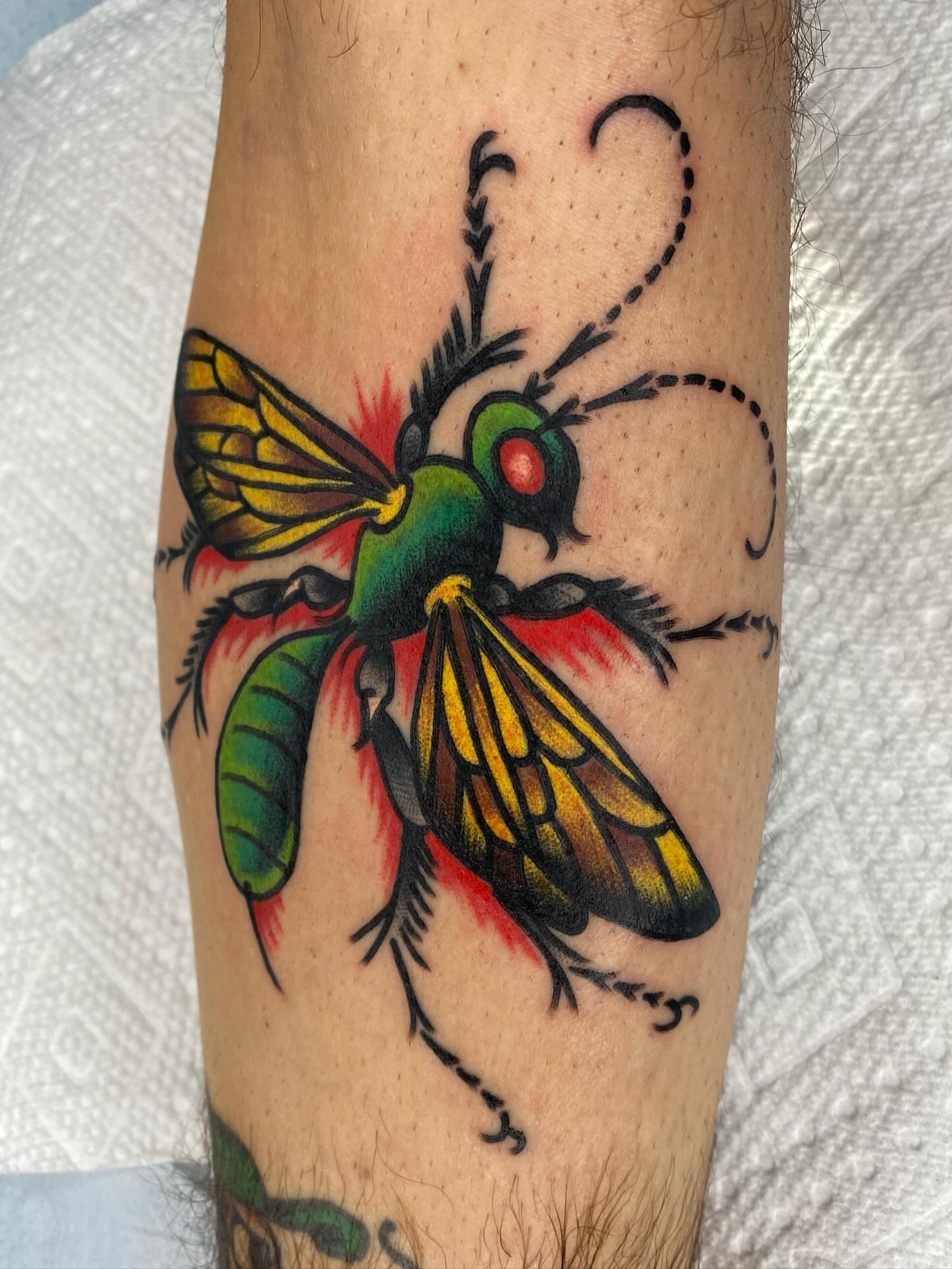 Beetle American traditional tattoo on the forearm by Jack, Knoxville, Tennessee