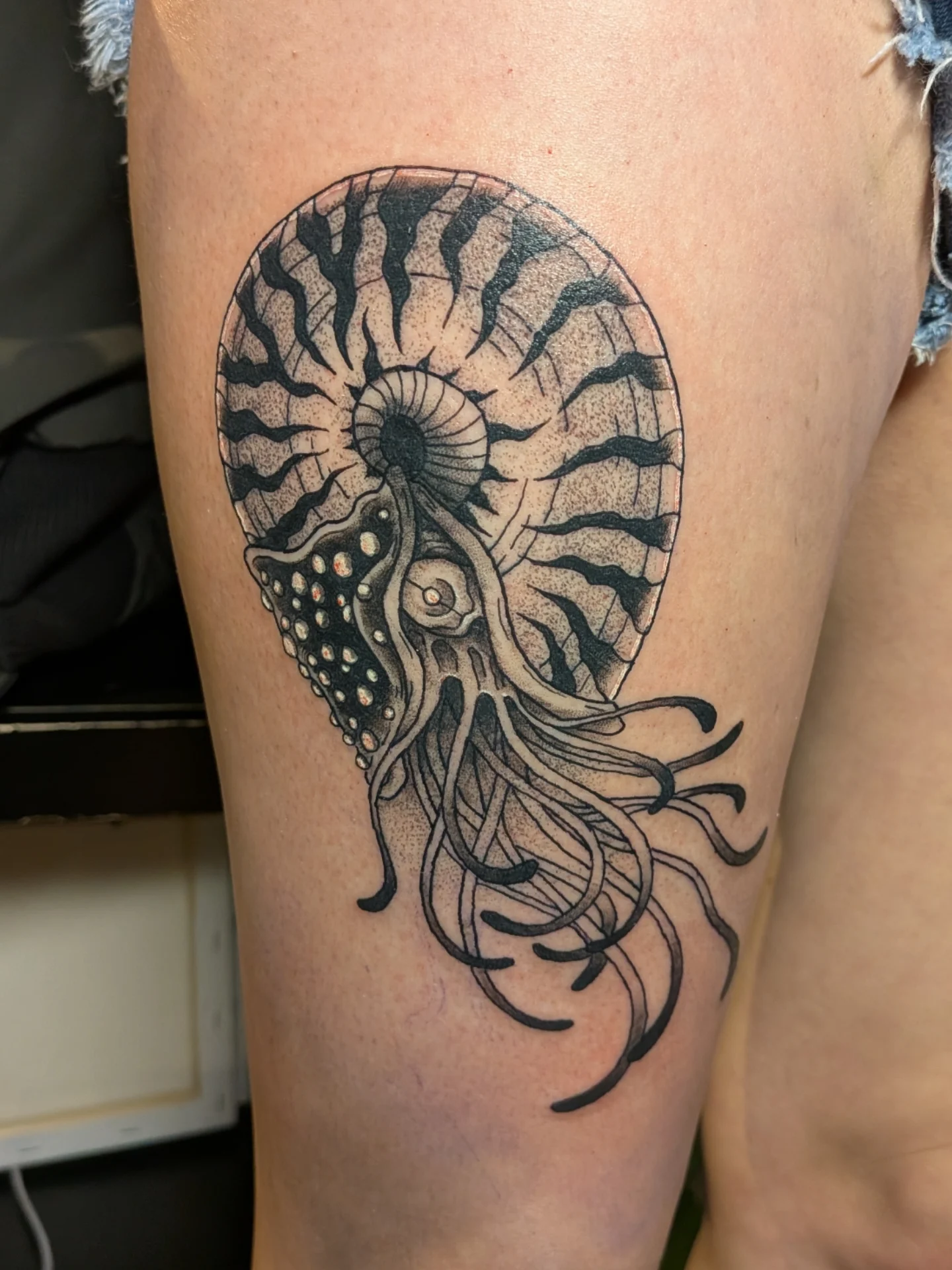Nautilus shell with tentacles tattoo on the thigh by Damon 🥀