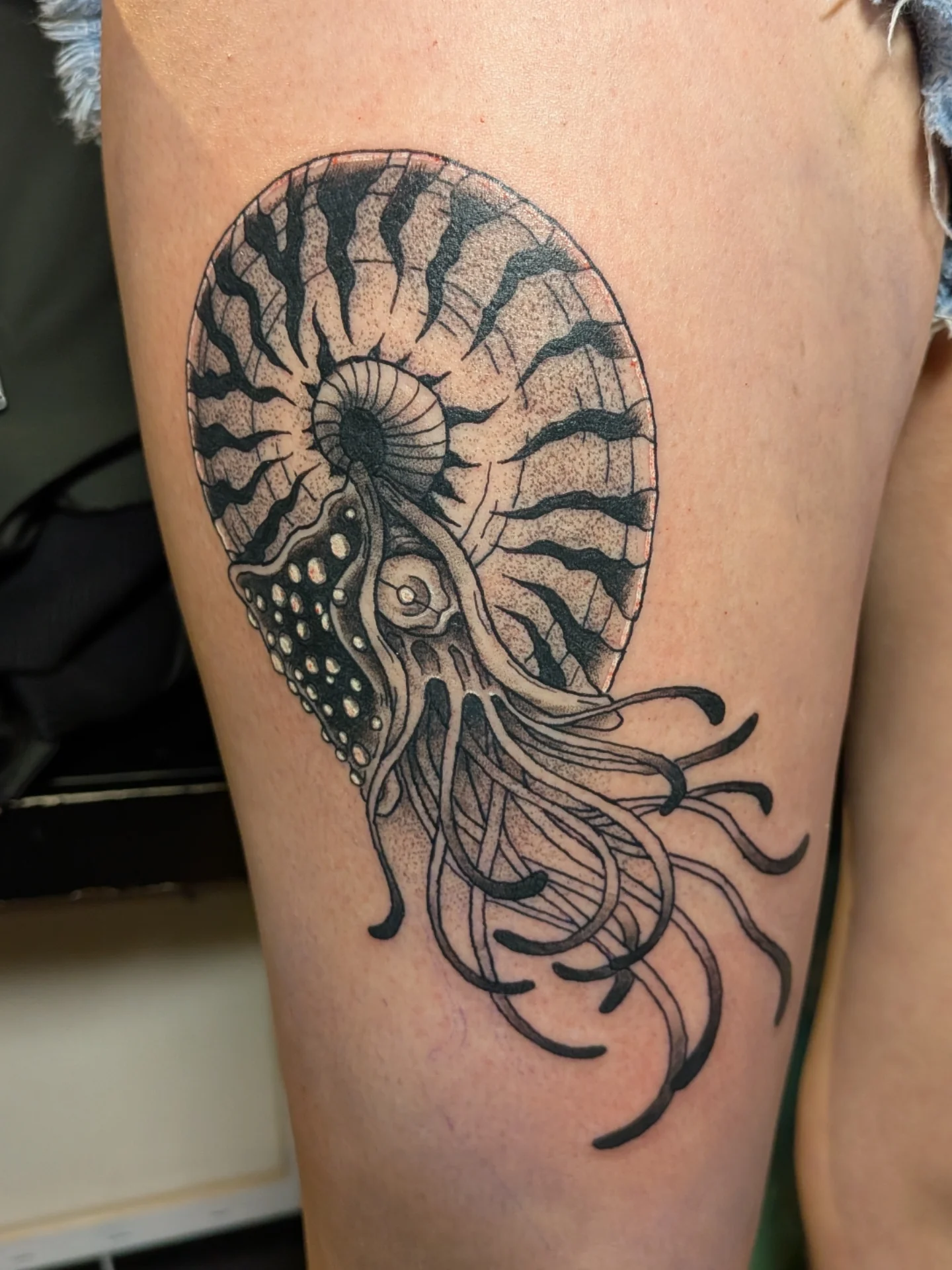 Nautilus shell with tentacles tattoo on the thigh by Damon 🥀
