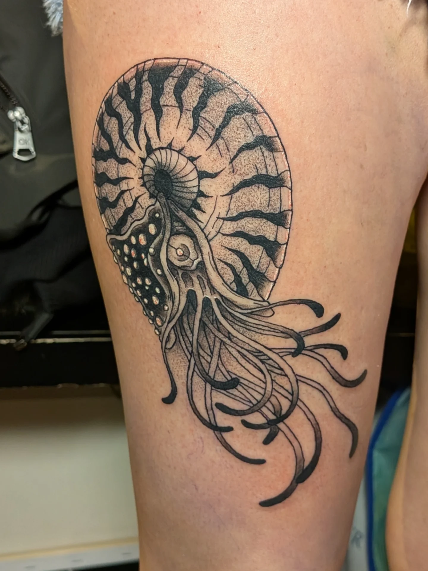 Nautilus shell with creature tattoo on the thigh by Damon 🥀
