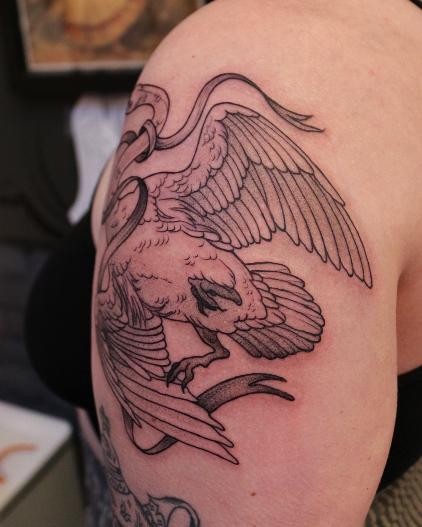 Phoenix black and grey tattoo on the shoulder by Summer Balcom M.