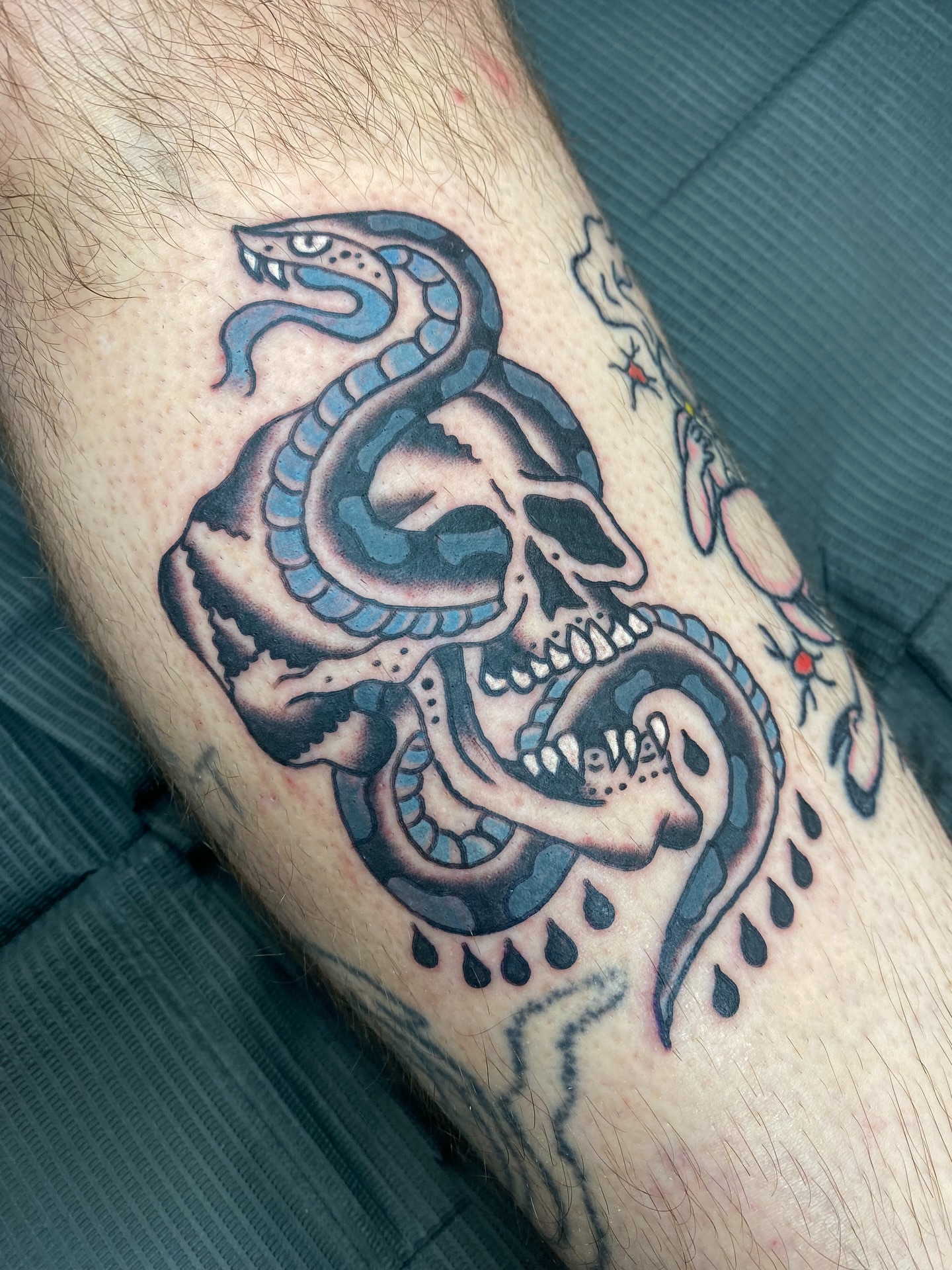 Snake and skull American traditional tattoo on the forearm by Mike Tapia