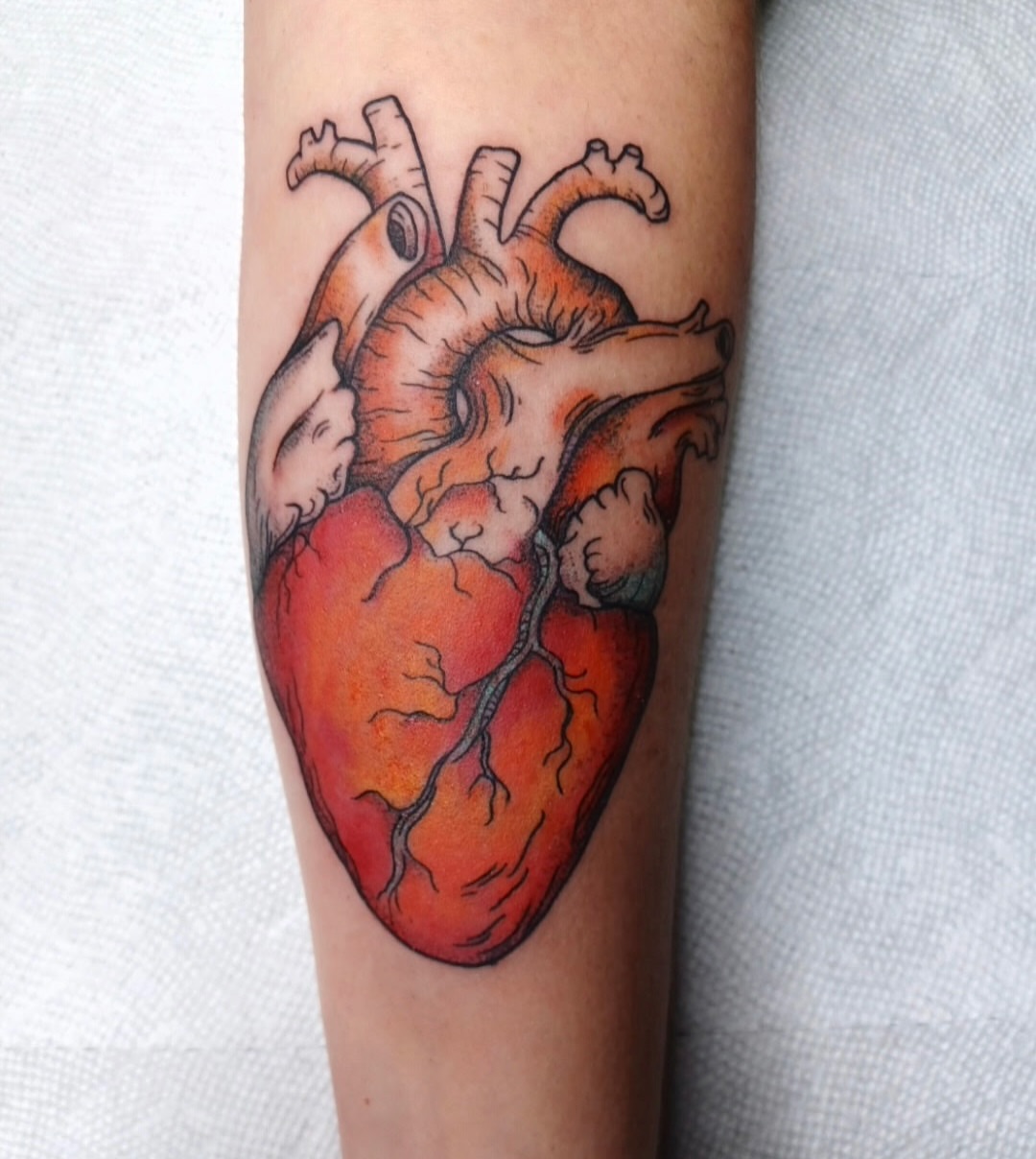 Anatomical heart realism tattoo on the forearm by Chris Bell