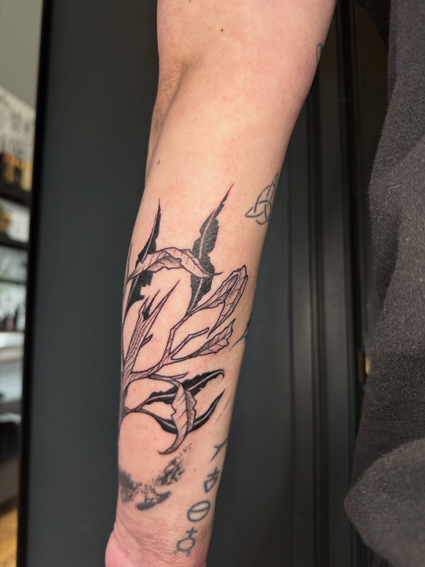 Tattoo by @pdv — black_and_grey