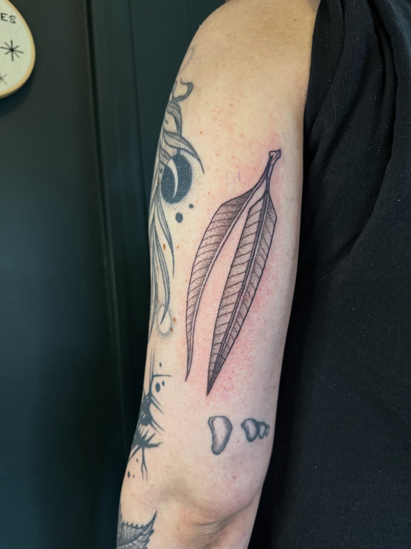 Feather black and grey tattoo on the forearm by Paul DeVay