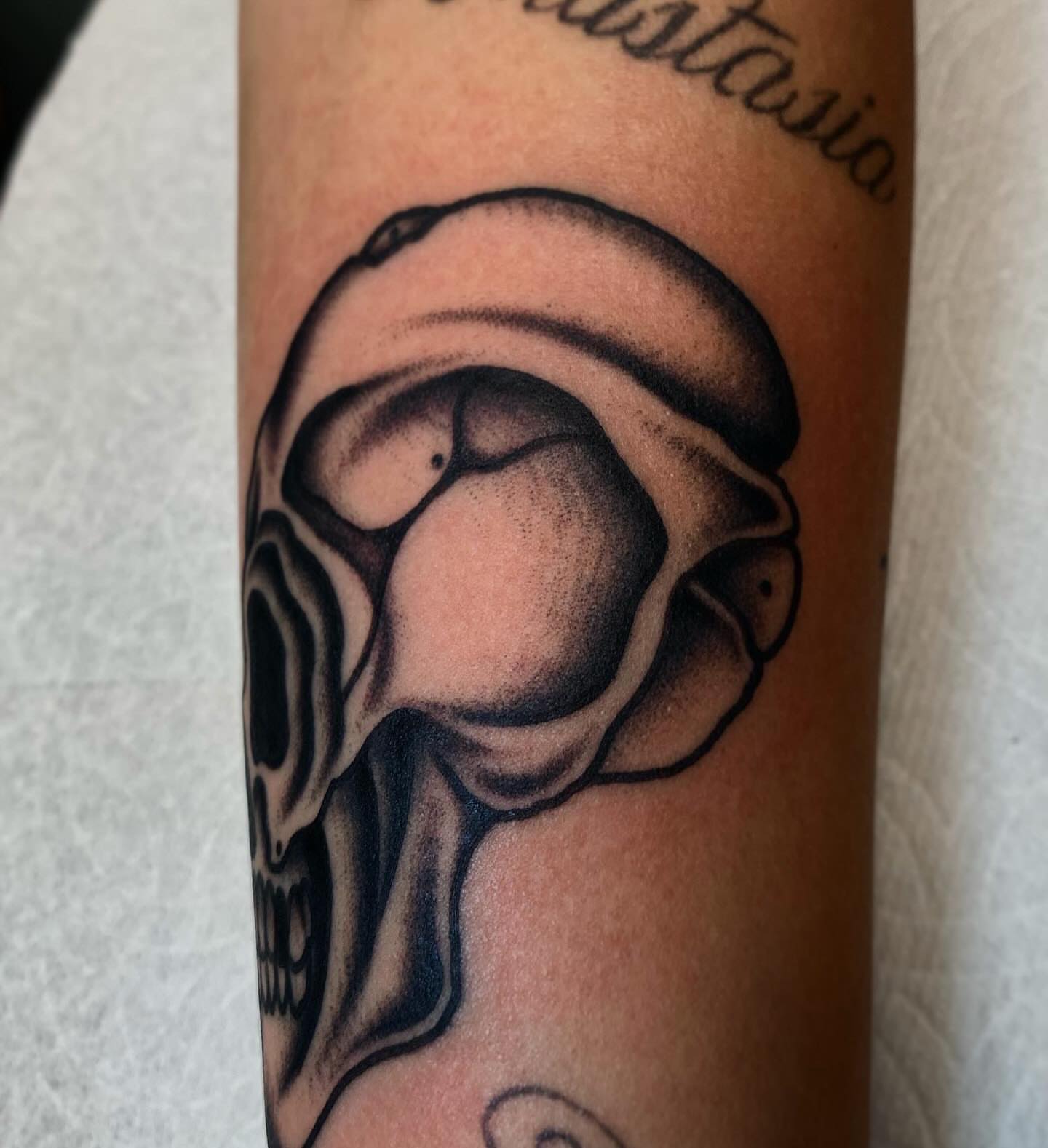 Skull black and grey tattoo on the forearm by Brandon Heredia, Vacaville, California
