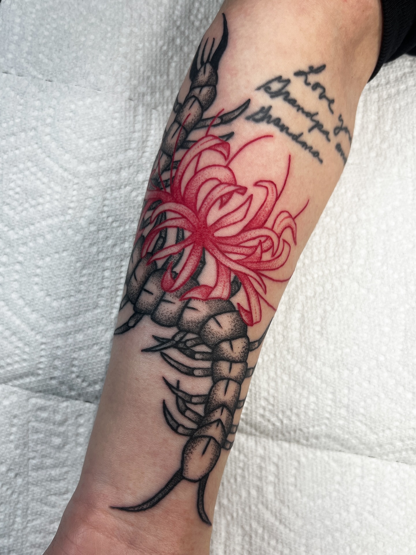 Scorpion and flower American traditional tattoo on the forearm by 𝑴𝒂𝒚𝒂𖤐𝑫𝒆𝑽𝒊𝒏𝒆, Dayton, Ohio