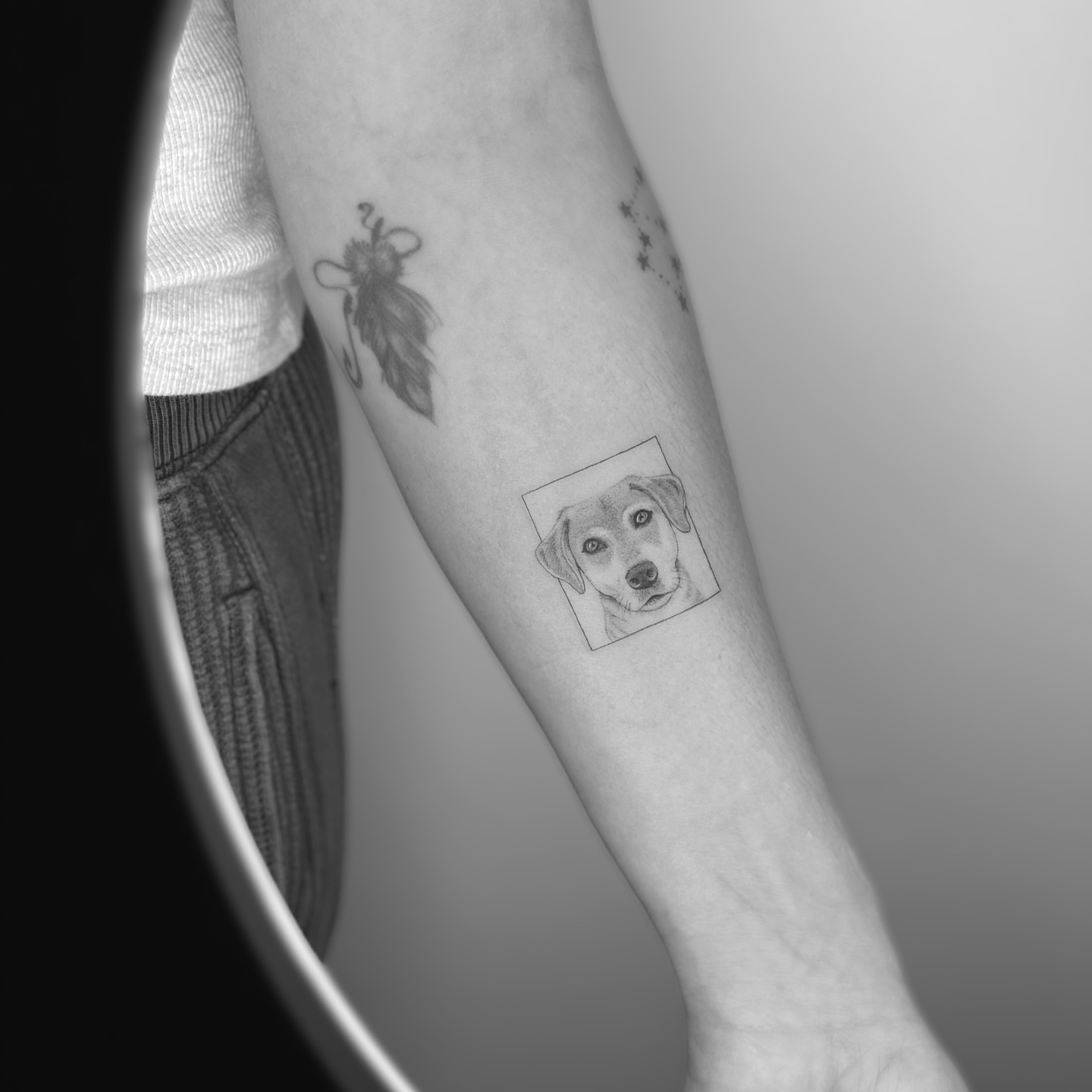 Dog portrait realism tattoo on the forearm by Marisa Martello, Nashville, Tennessee