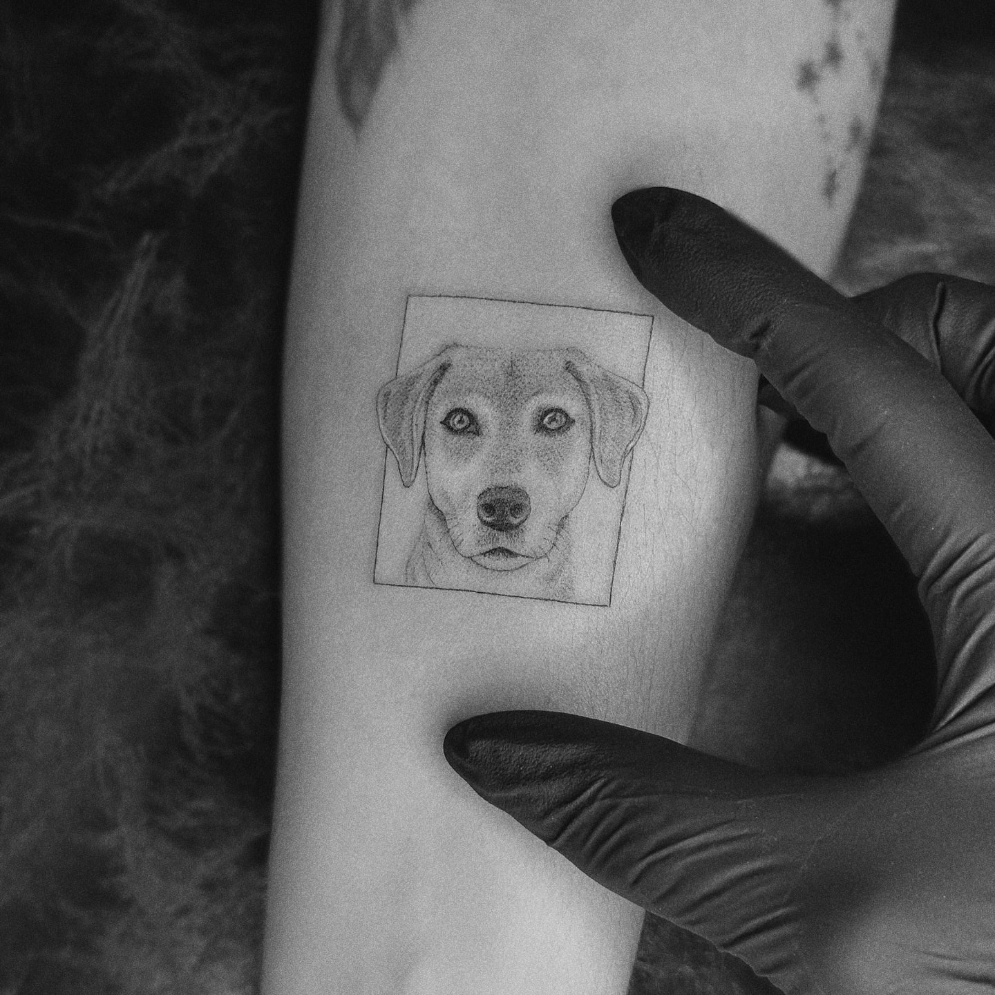 Dog portrait realism tattoo on the forearm by Marisa Martello, Nashville, Tennessee