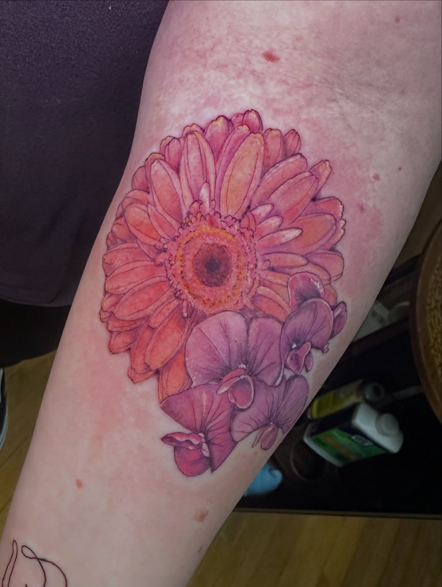 Gerbera daisy watercolor tattoo on the forearm by Cecilia Marie