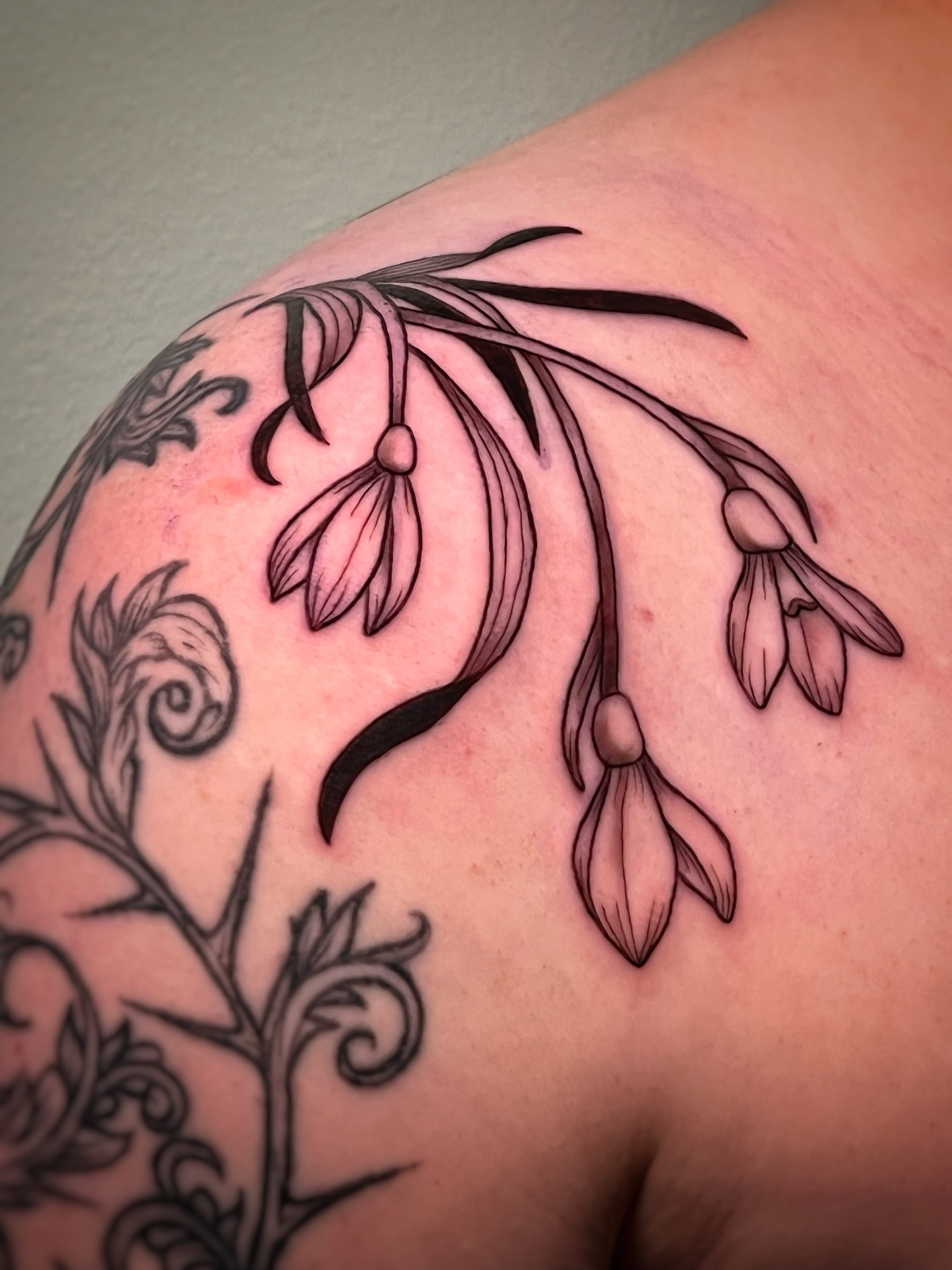Flower branch black and grey tattoo on the shoulder by Michelle Pomerantz 🌼 Portland Tattoo Artist