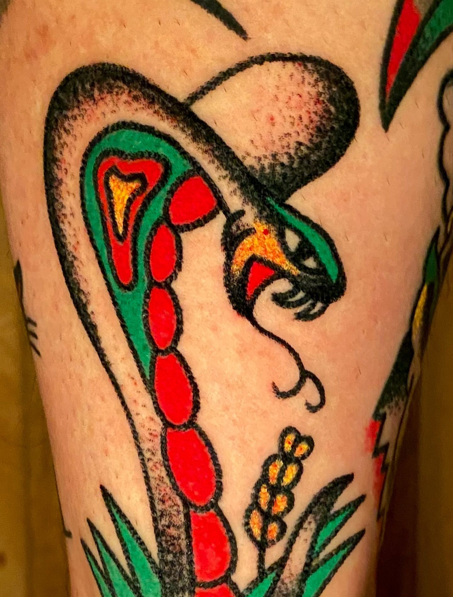 Snake American traditional tattoo on the forearm by Daniel Diego