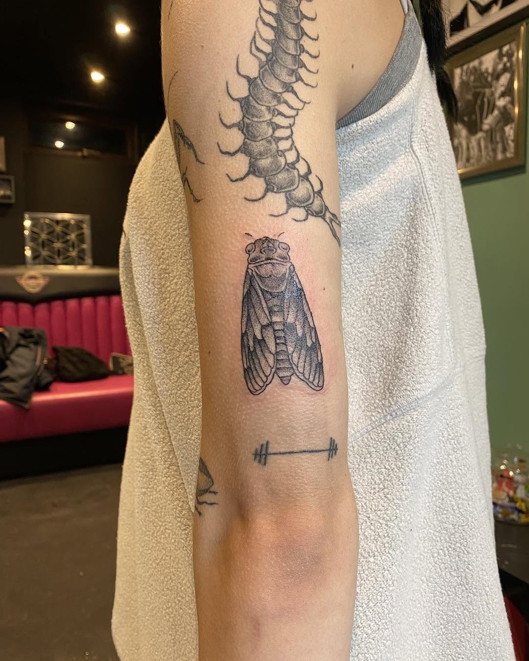 Tattoo by @carafrankenstein — black_and_grey