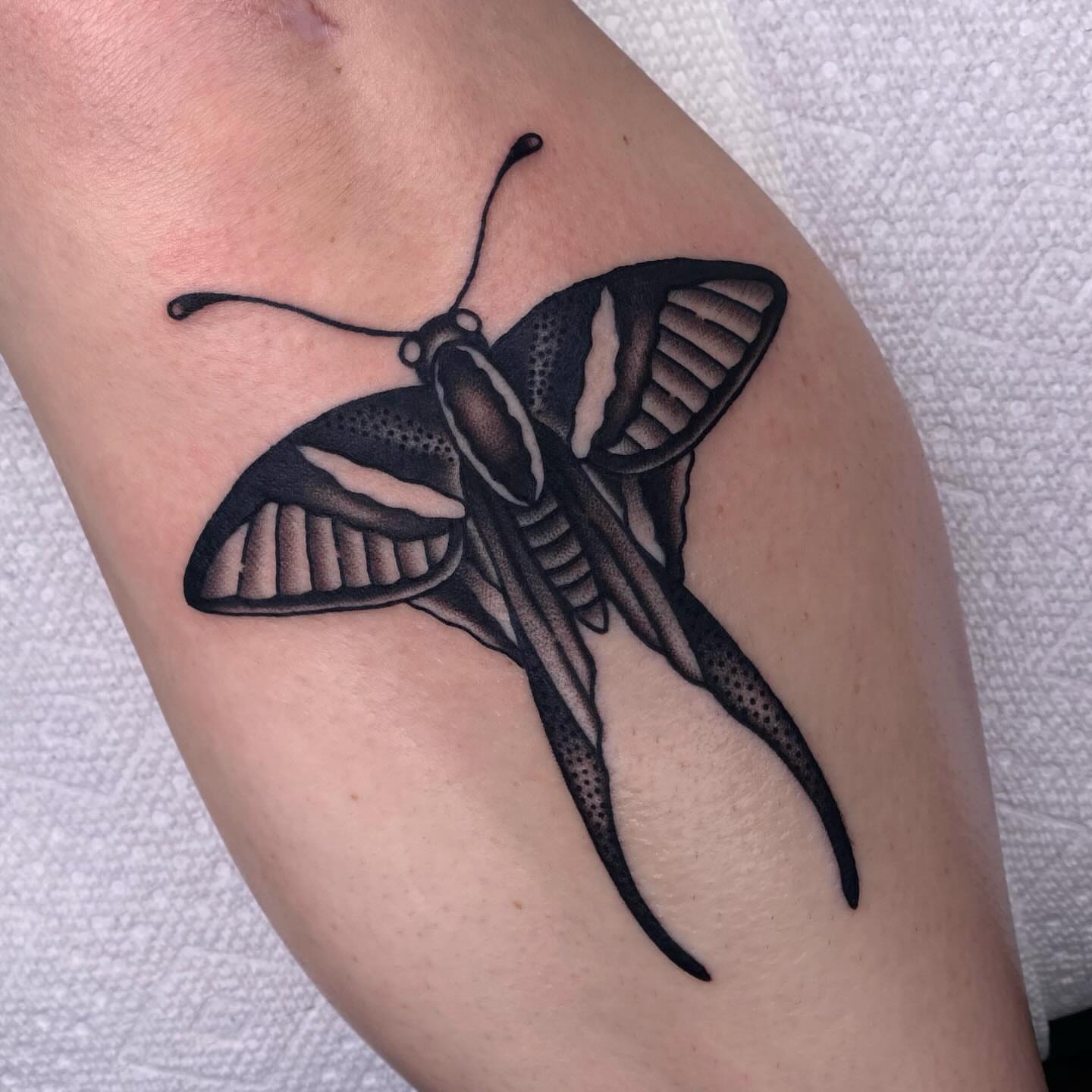 Moth black and grey tattoo on the forearm by Justin R. Mitchell, Fort Worth, Texas