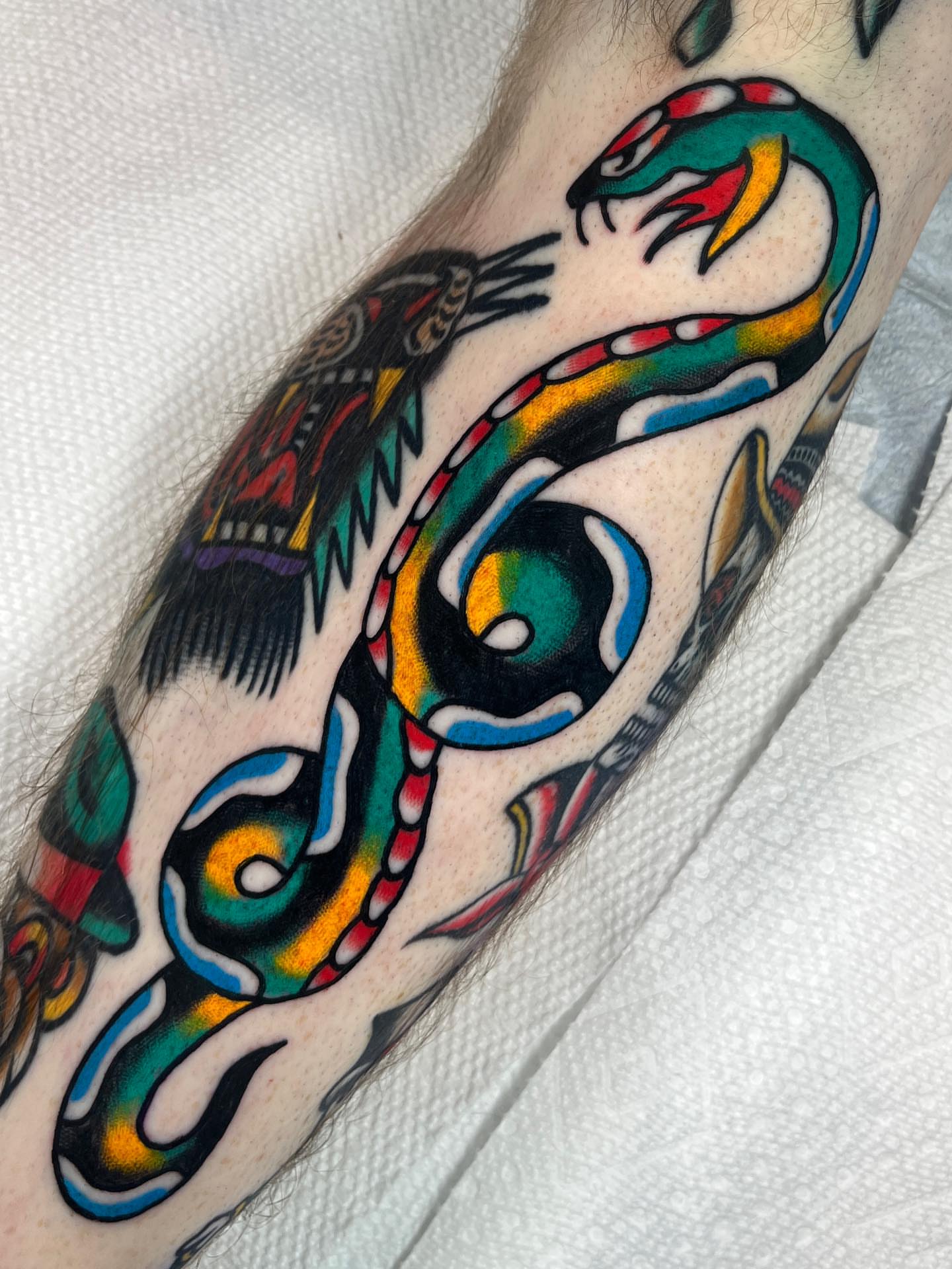 Snake American traditional tattoo on the forearm by Charlie Ostrom, Durham, North Carolina