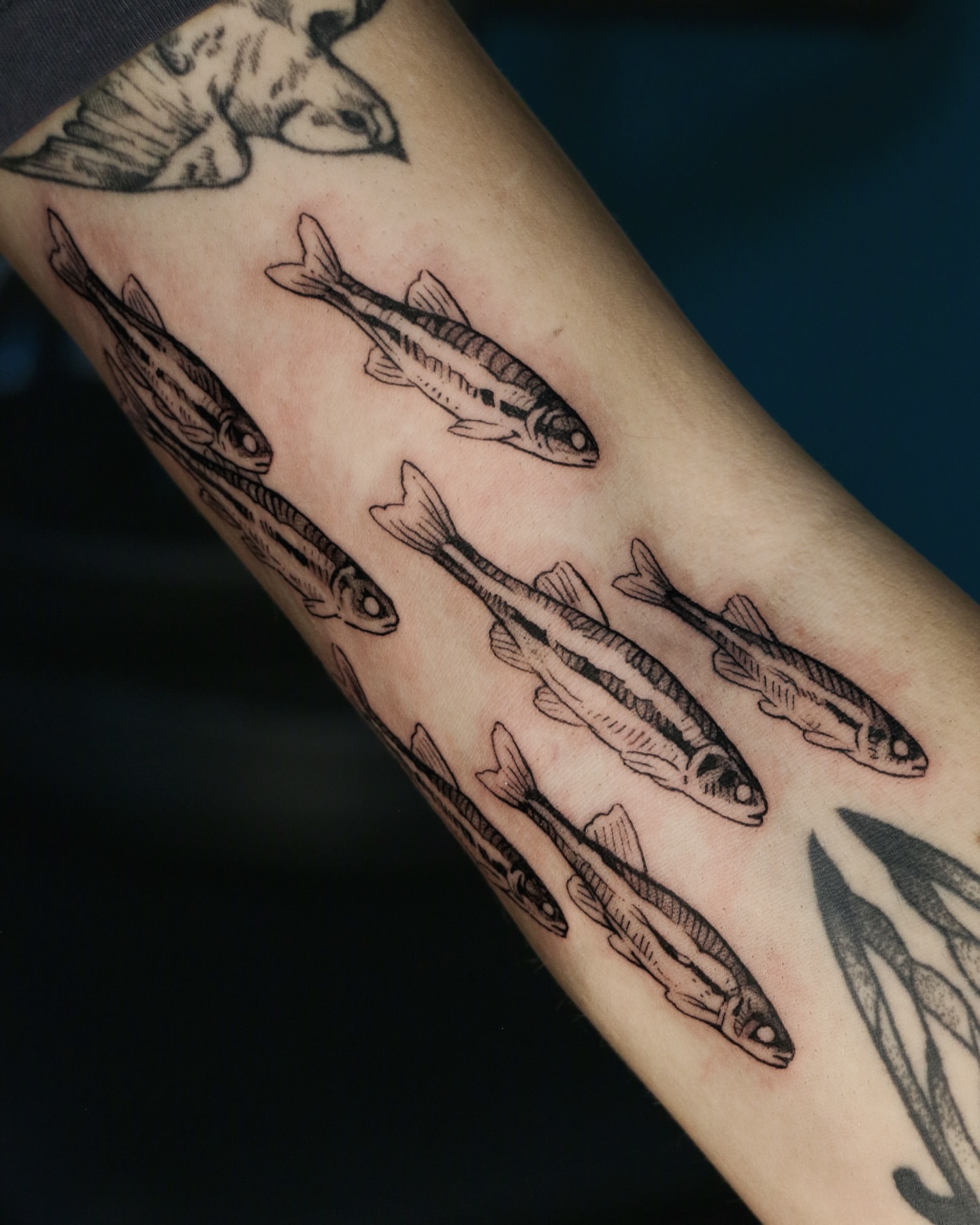 Tattoo by @baldpeaches — black_and_grey