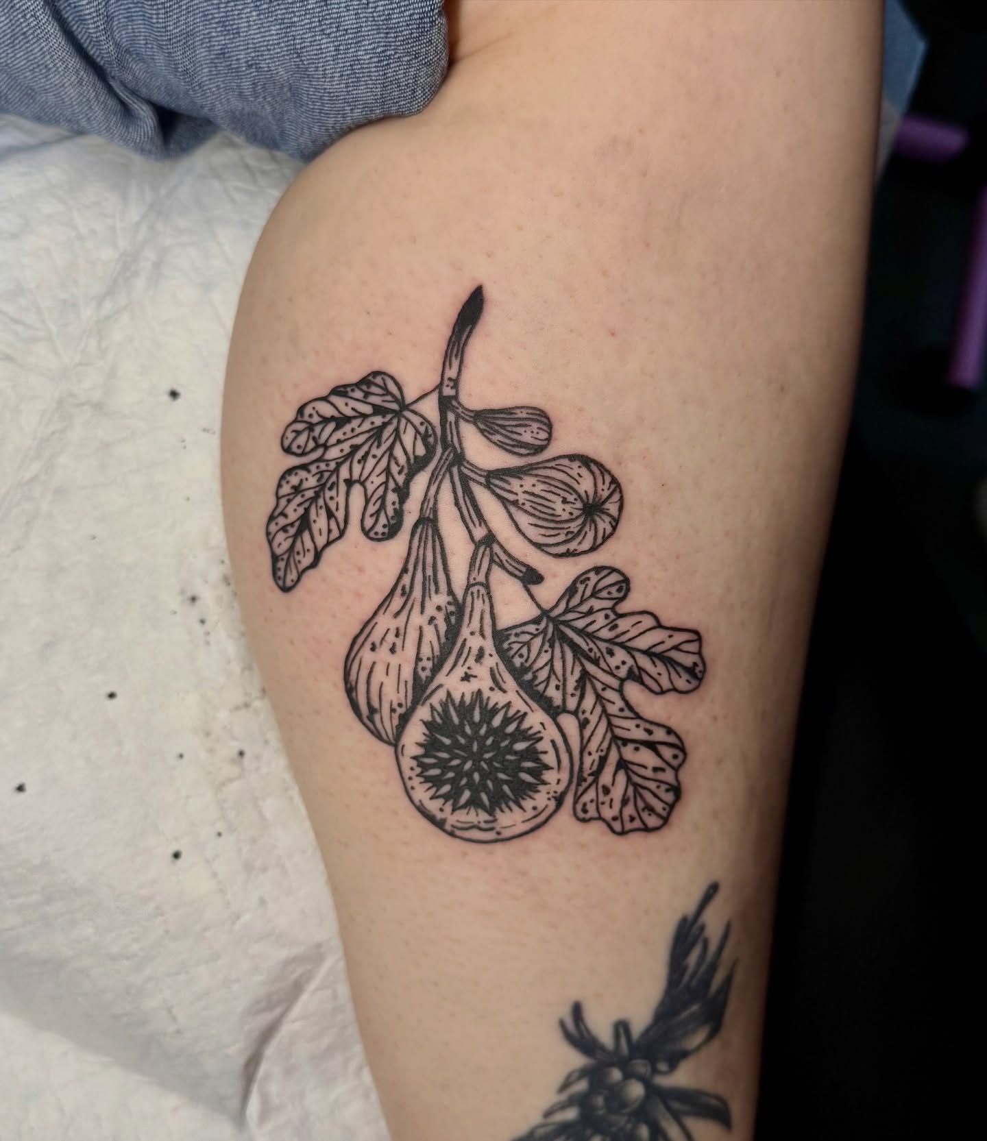 Figs and leaves black and grey tattoo on the forearm by Minxxy Tattoos