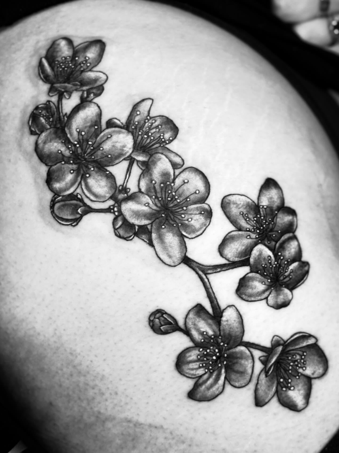 Cherry blossoms black and grey tattoo on the shoulder by Suzanne B