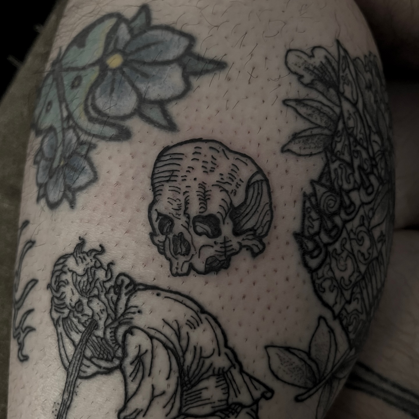 Tattoo by @mentalagonytattoo — dotwork, black_and_grey