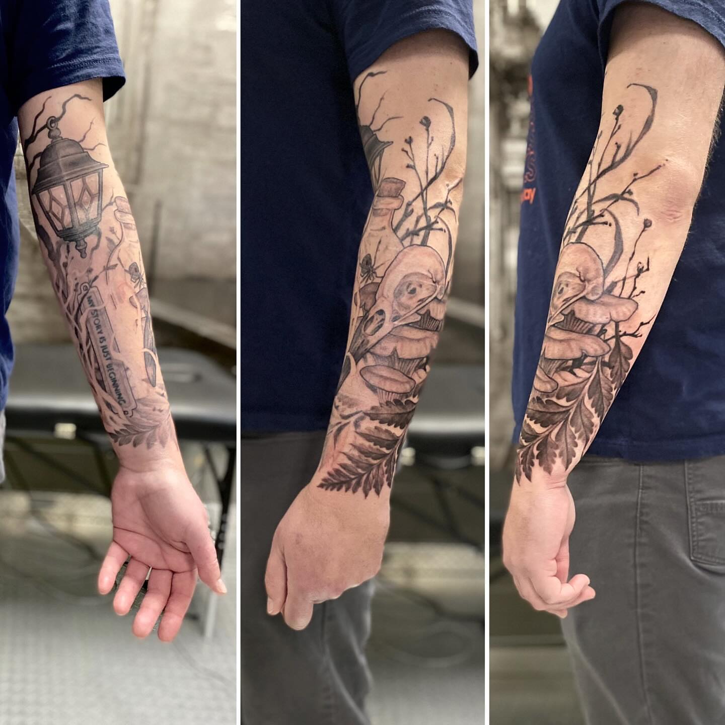 Mushroom and botanical realism tattoo on the forearm by Dana Jones