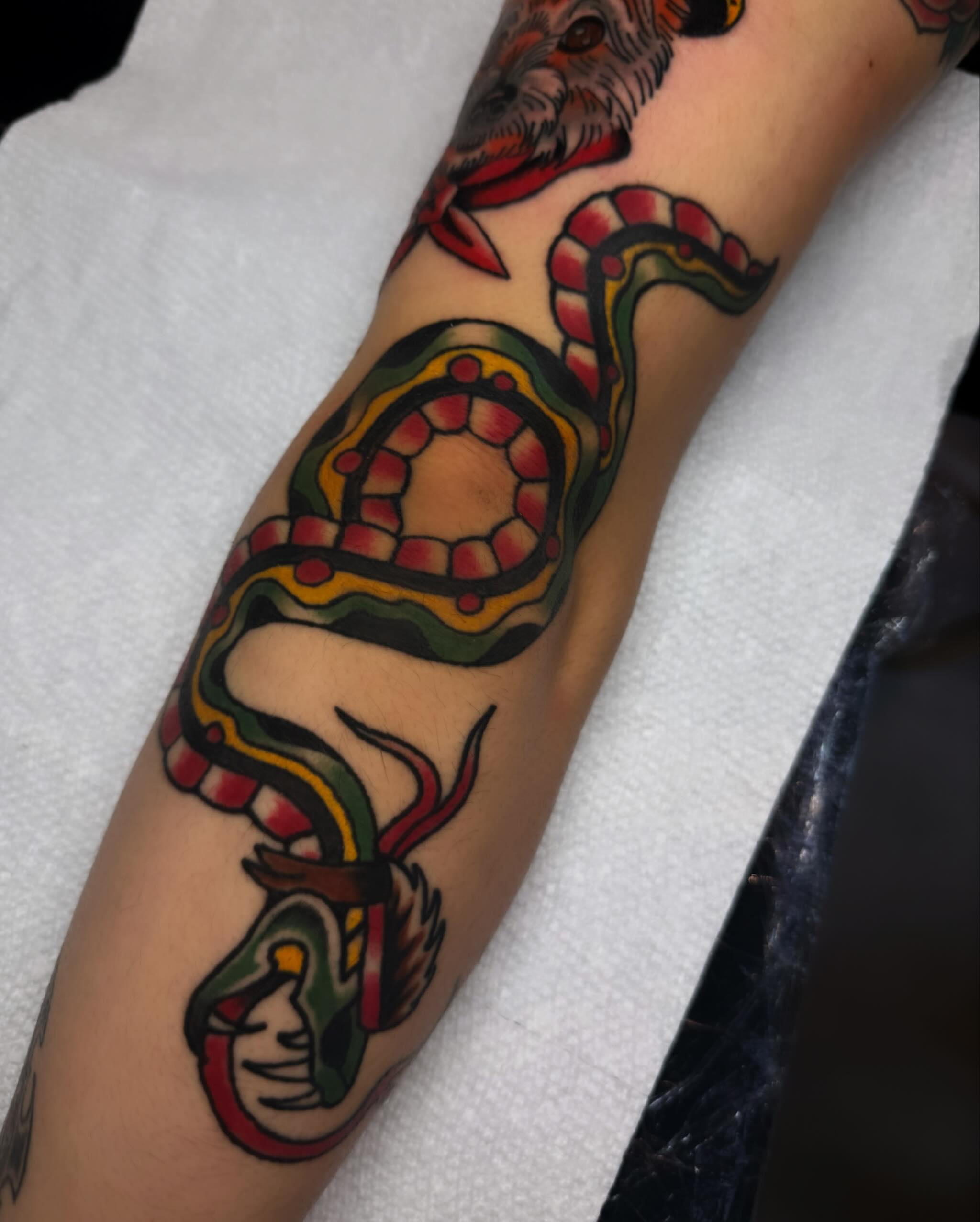 Snake American traditional tattoo on the forearm by Shelby