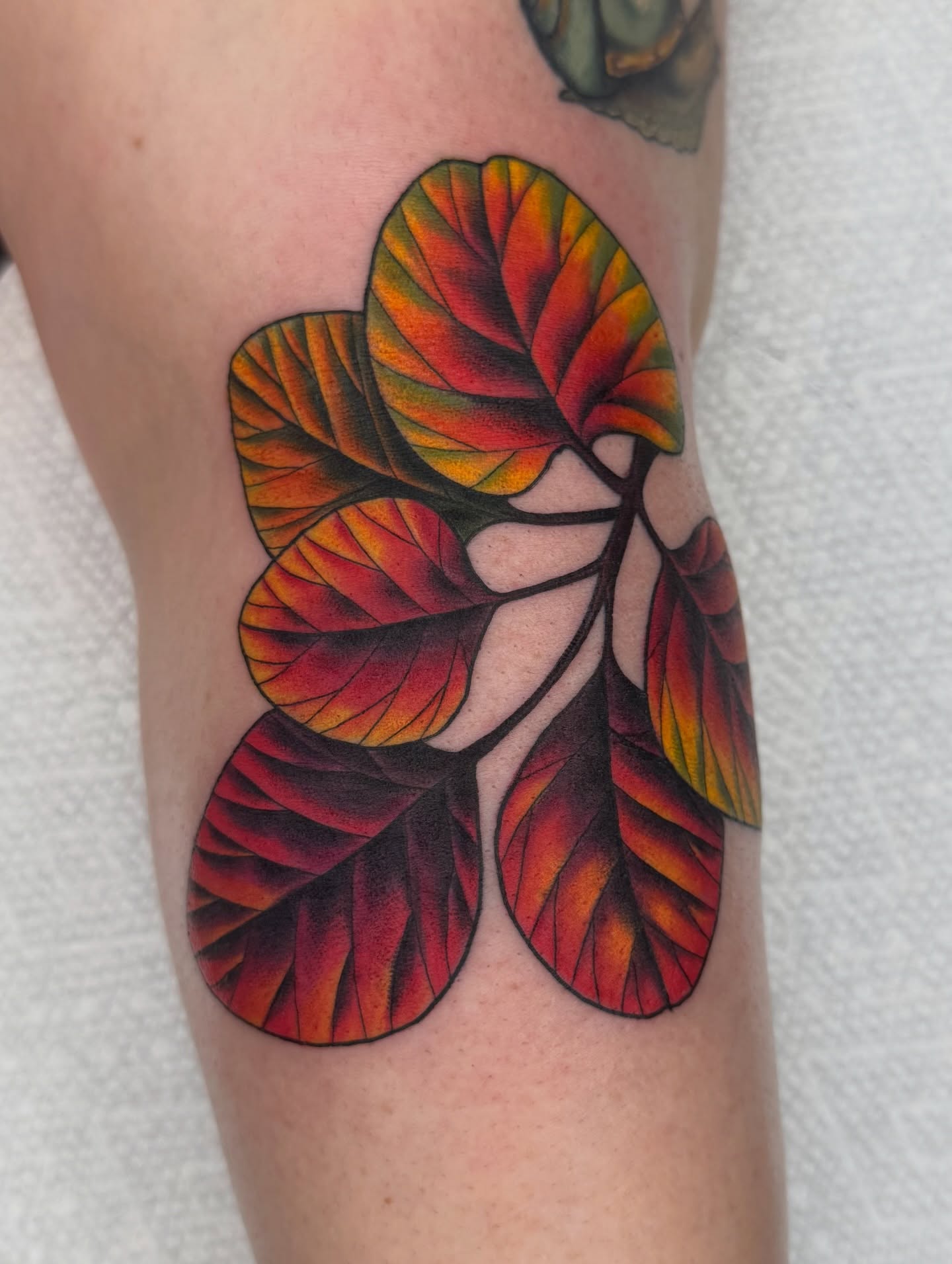 Tropical leaves realism tattoo on the forearm by Anna Wall