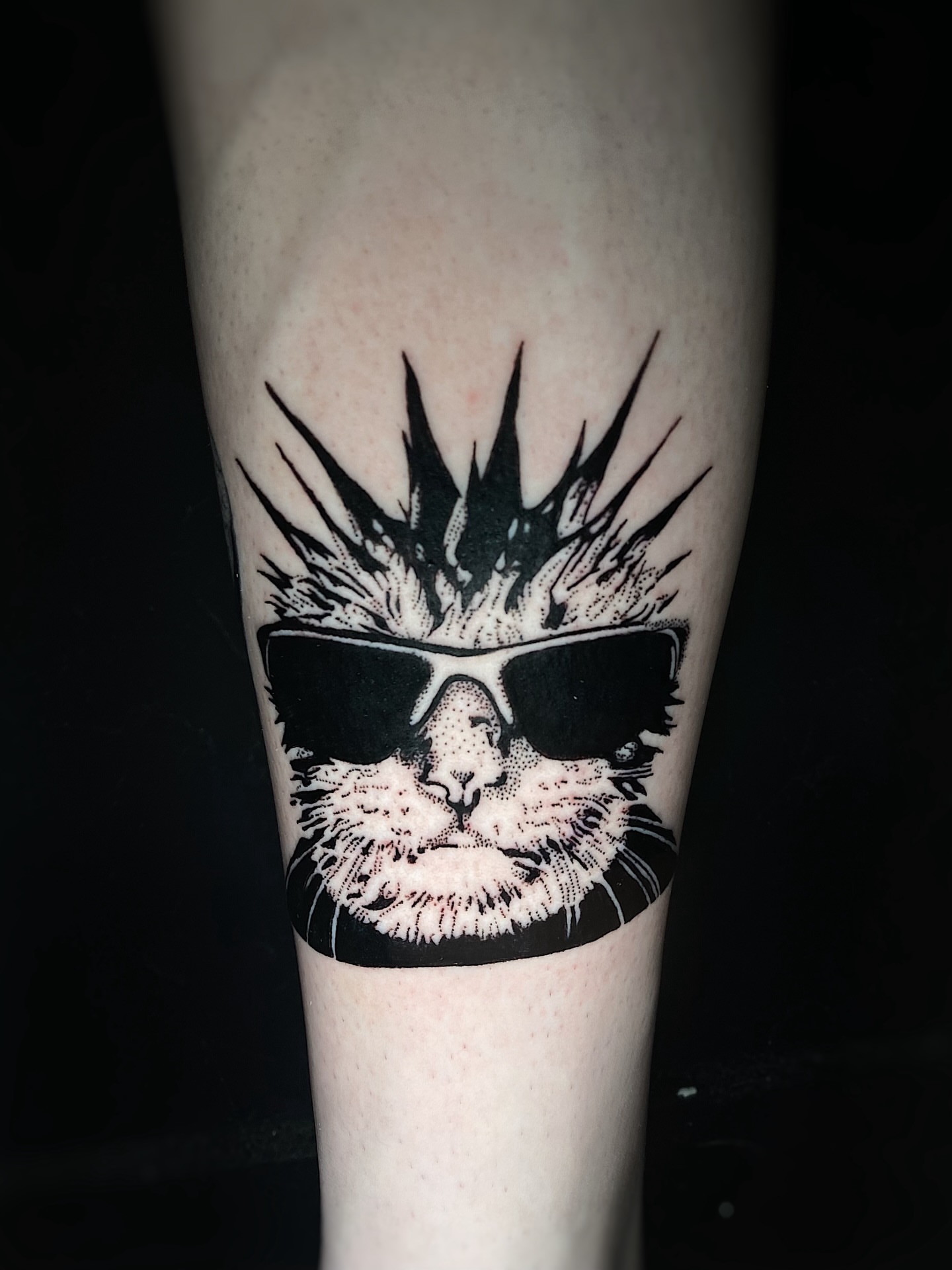 Cat wearing sunglasses dotwork tattoo on the forearm by Cherry Jane 🍒