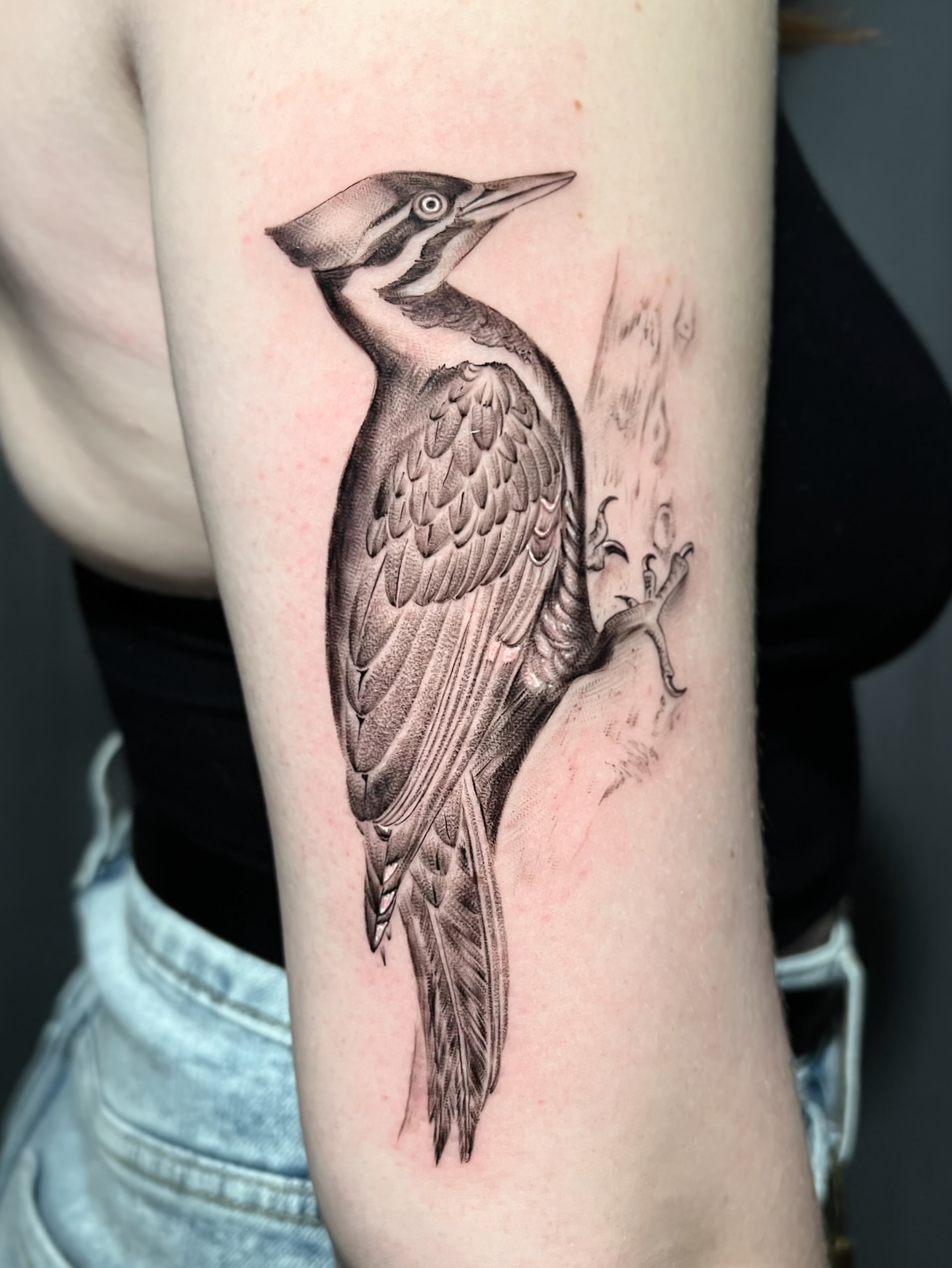Woodpecker realism tattoo on the forearm by Jen Rahman