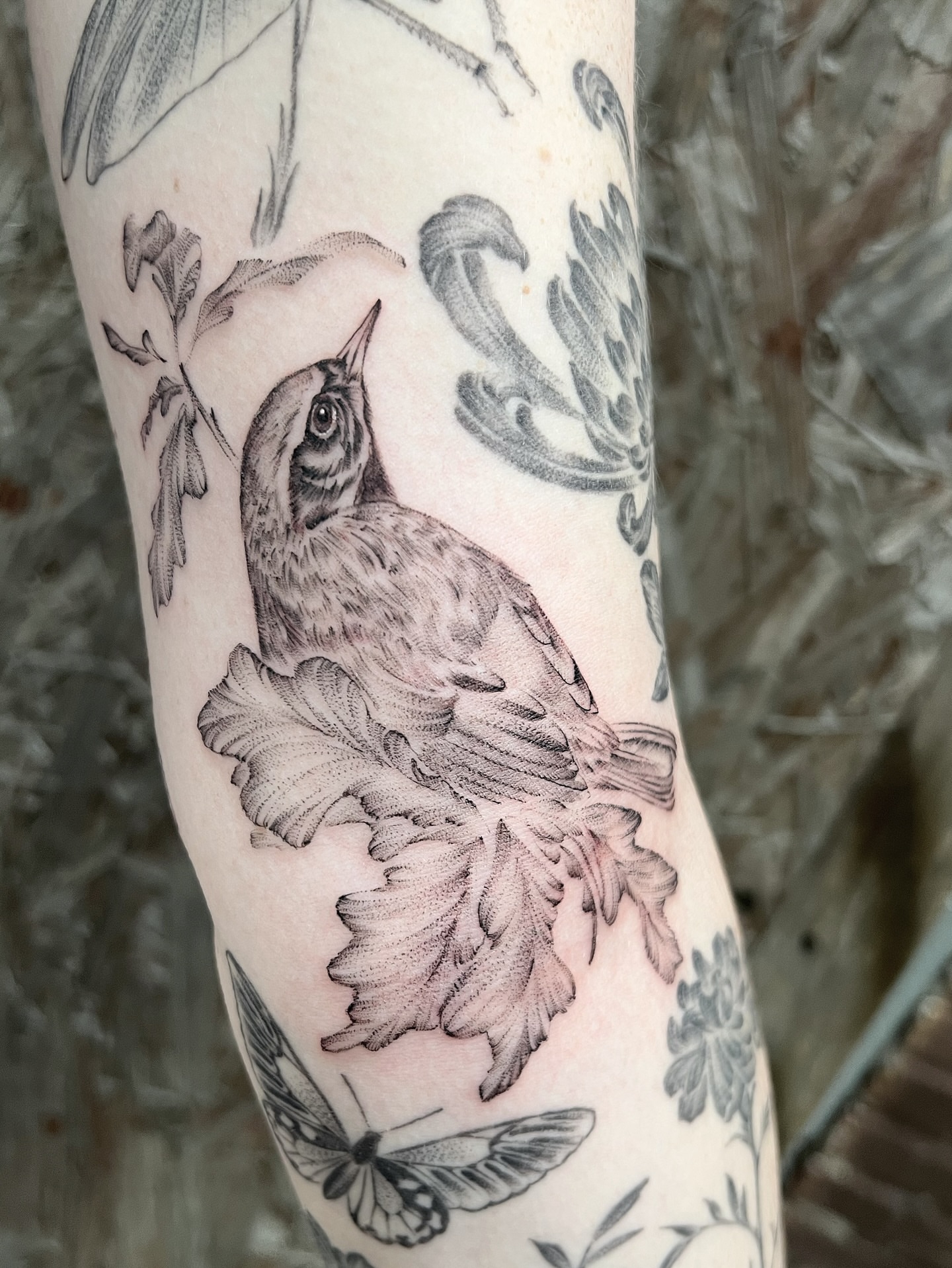 Bird realism tattoo on the forearm by Jen Rahman