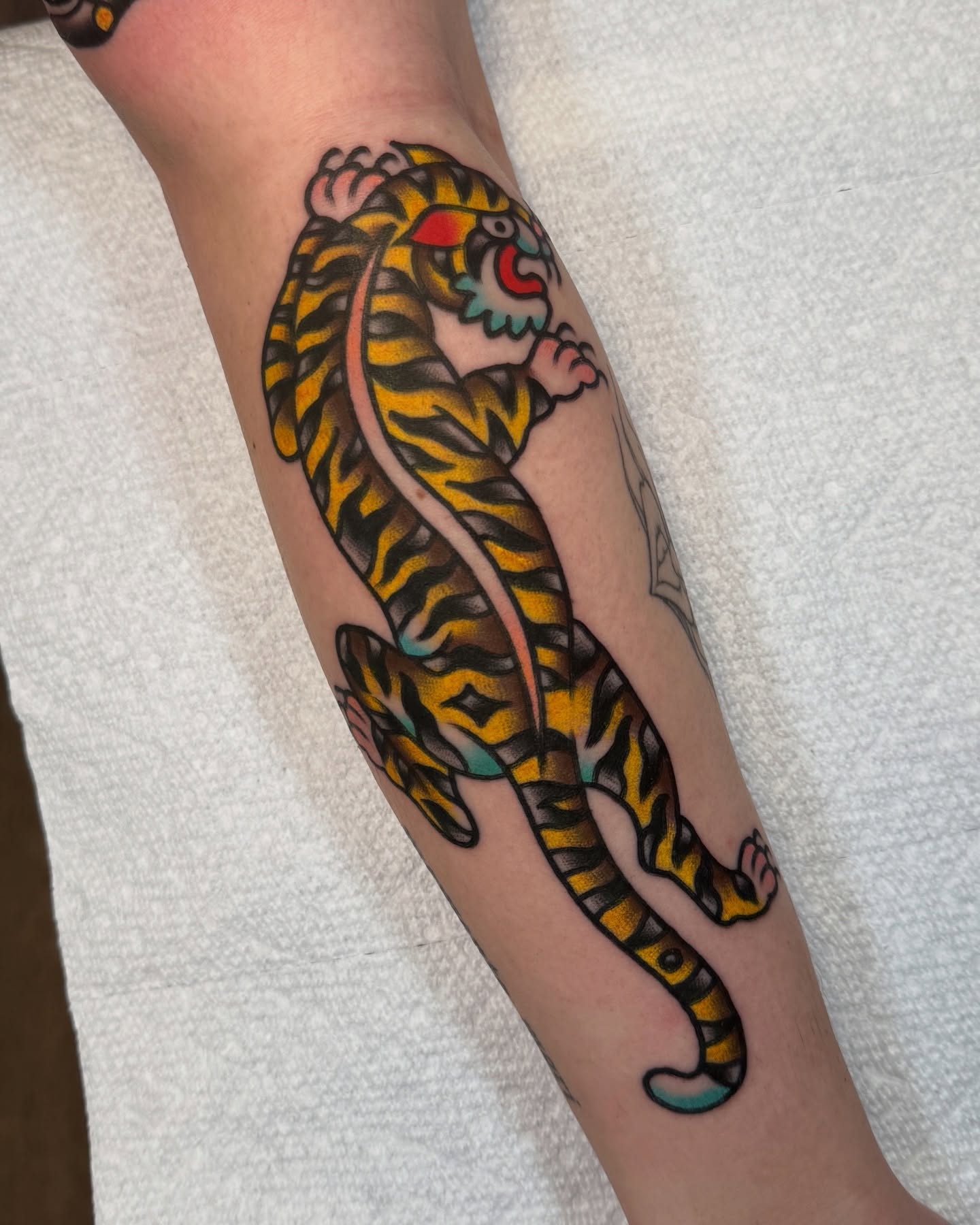 Tiger American traditional tattoo on the forearm by Cullen Bleser Quinn