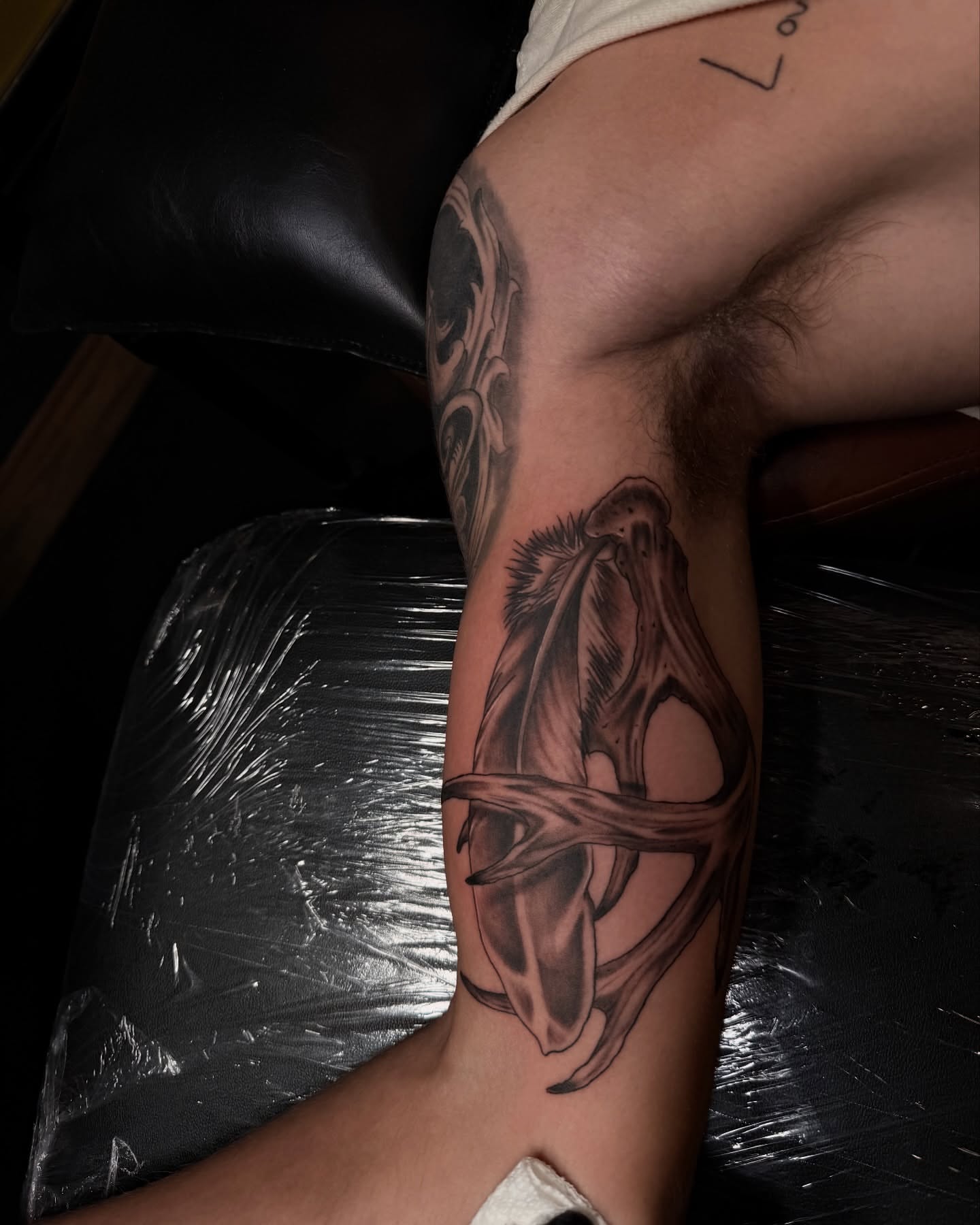 Antlers and skull realism tattoo on the forearm by Denis Seregin