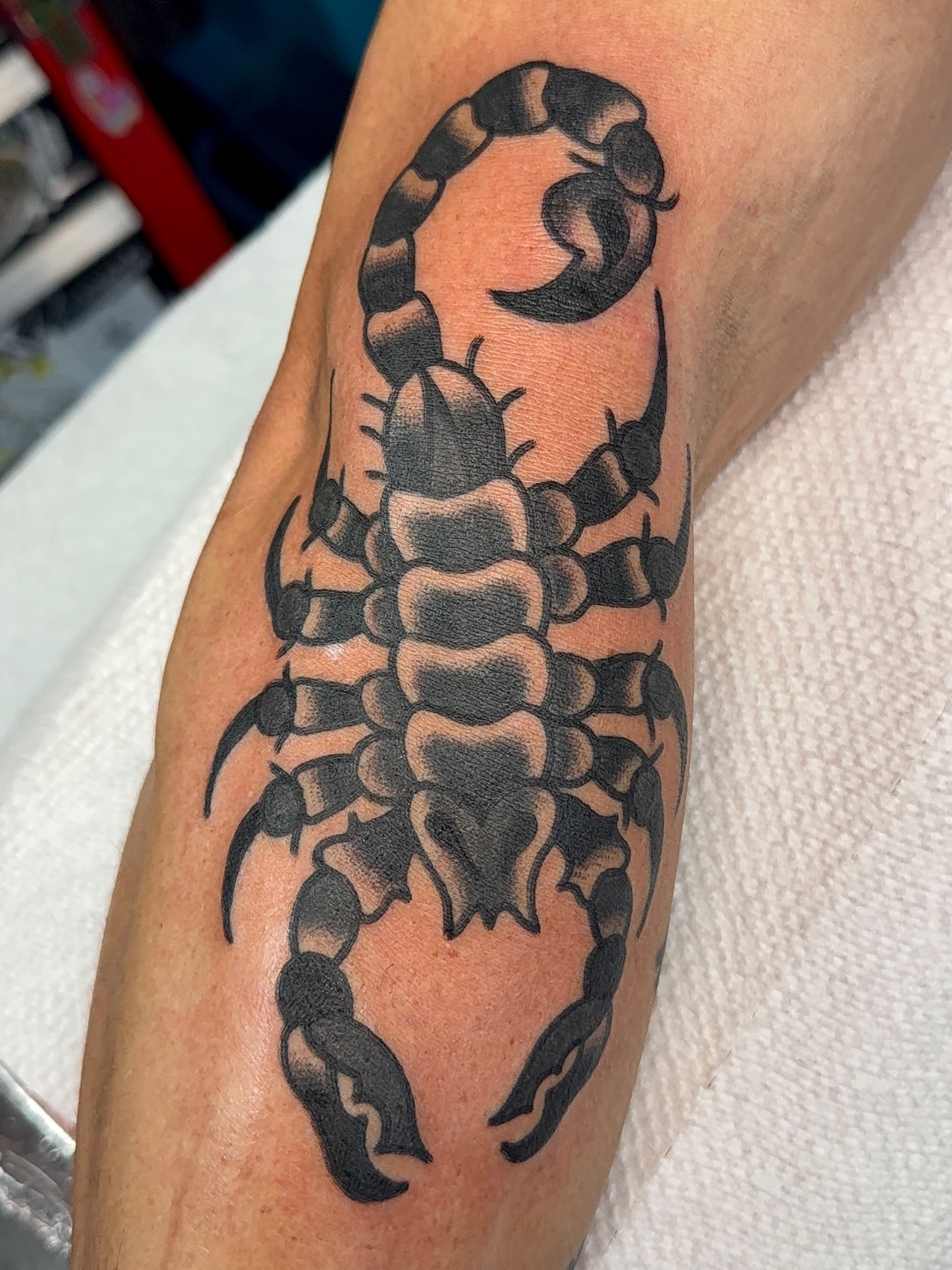 Scorpion black and grey tattoo on the forearm by VAY