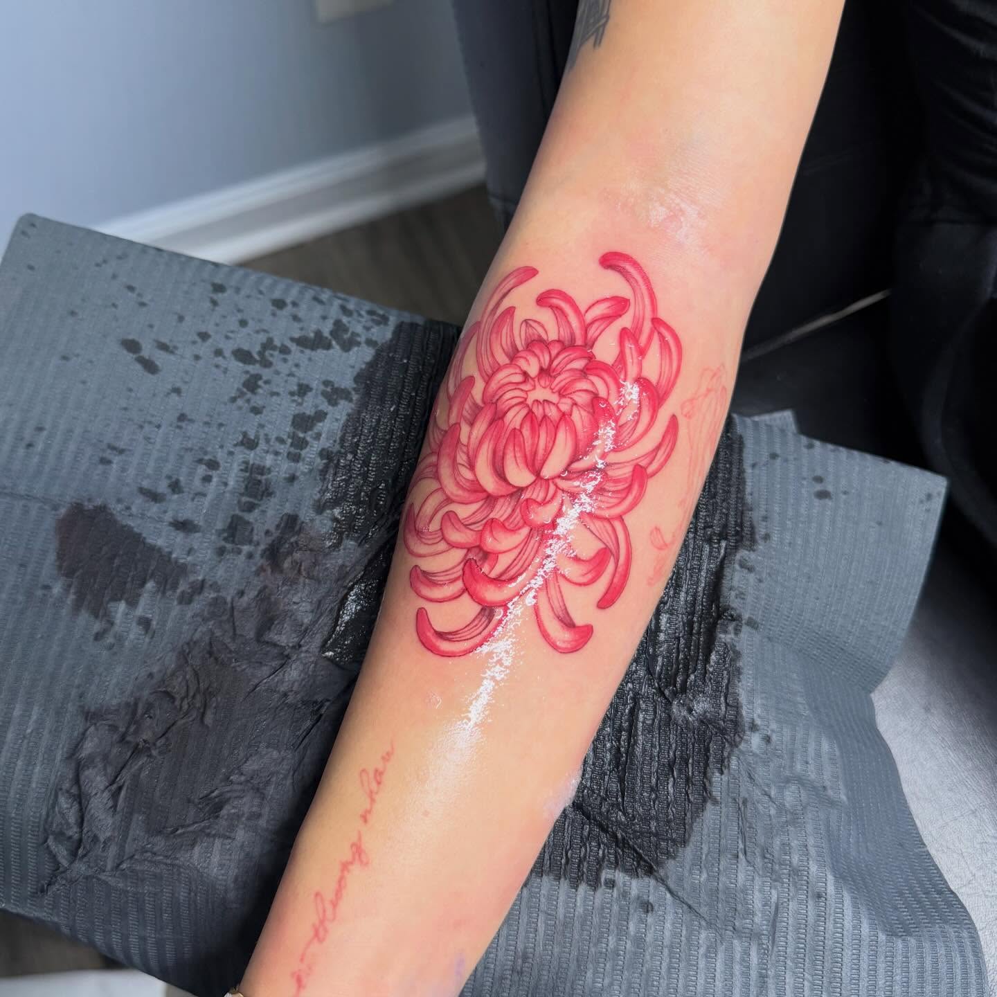 Chrysanthemum new school tattoo on the forearm by Stephania ATLANTA TATTOO ARTIST🎨