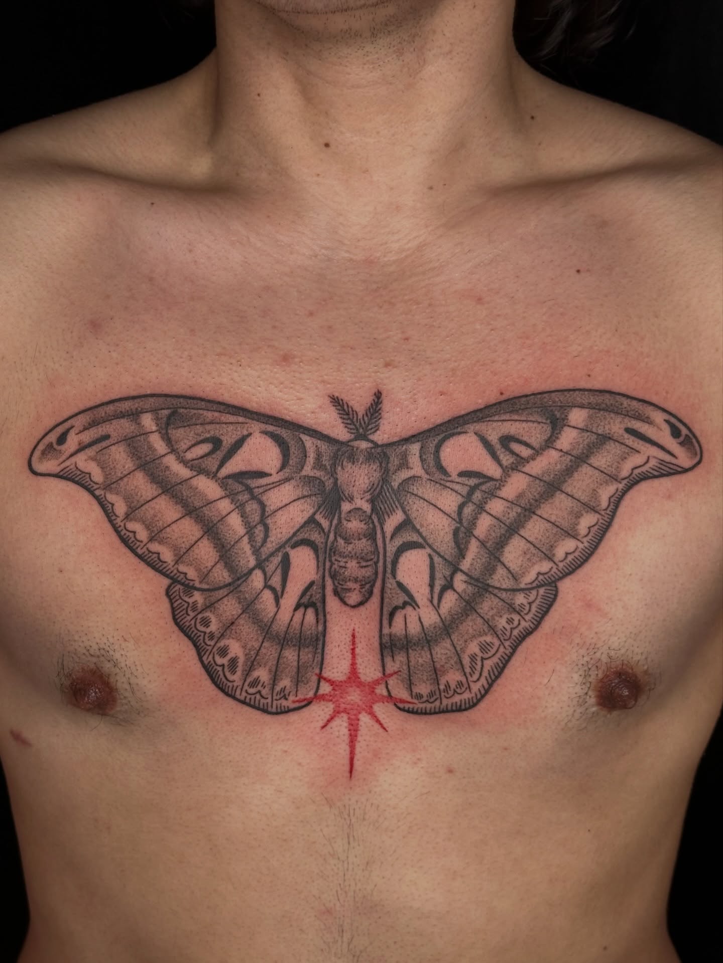 Moth black and grey tattoo on the chest by Summer Shield