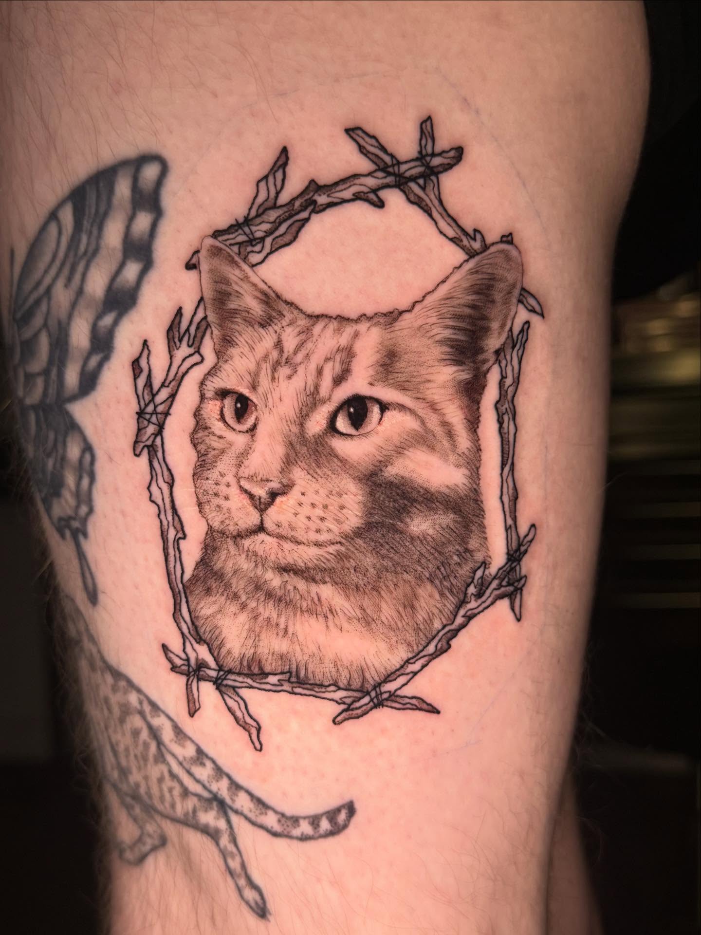 Cat realism tattoo on the forearm by Tyla Pistak, Seattle, Washington