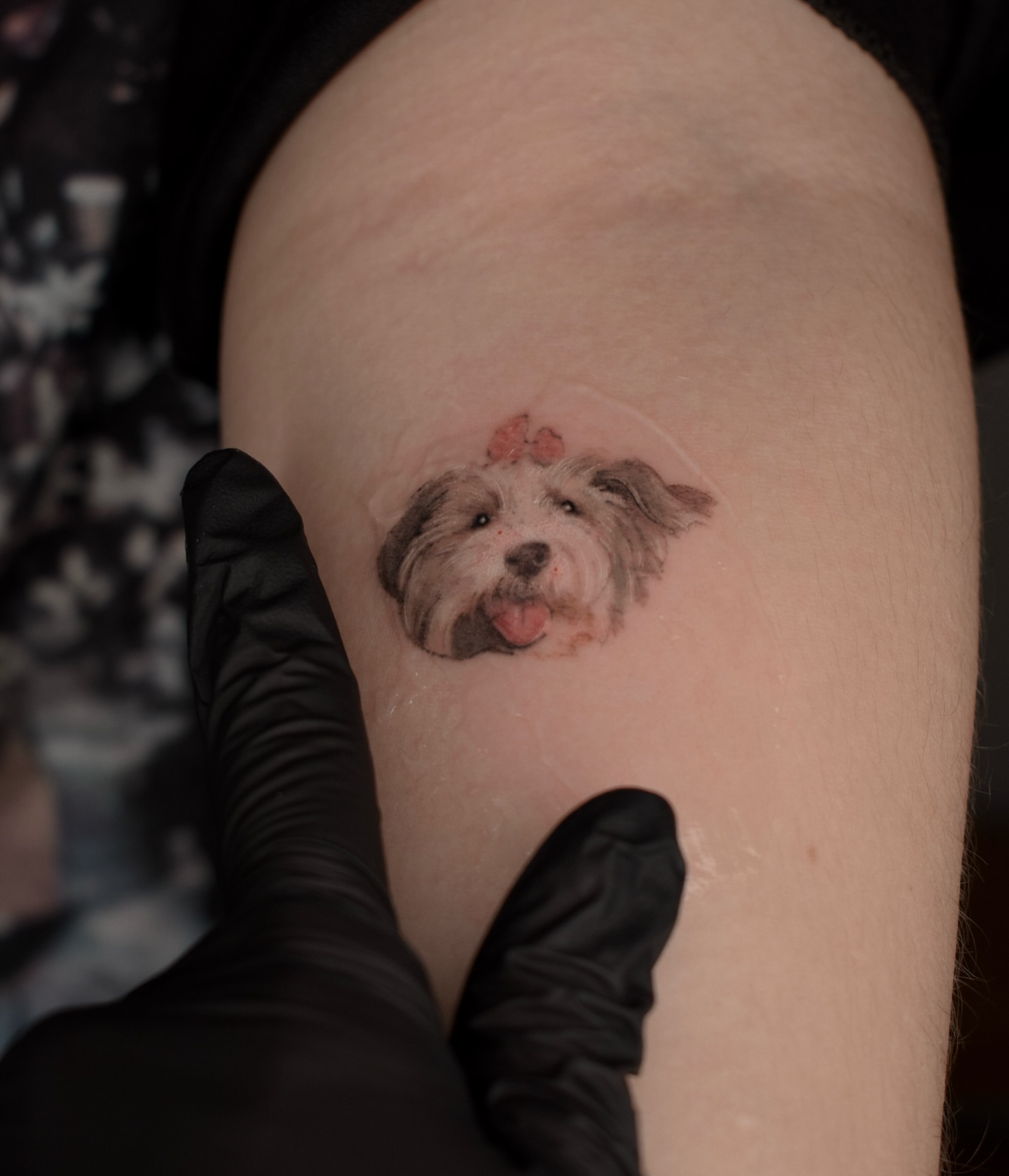Tattoo by @biyanova_microrealism_tattoo — realism