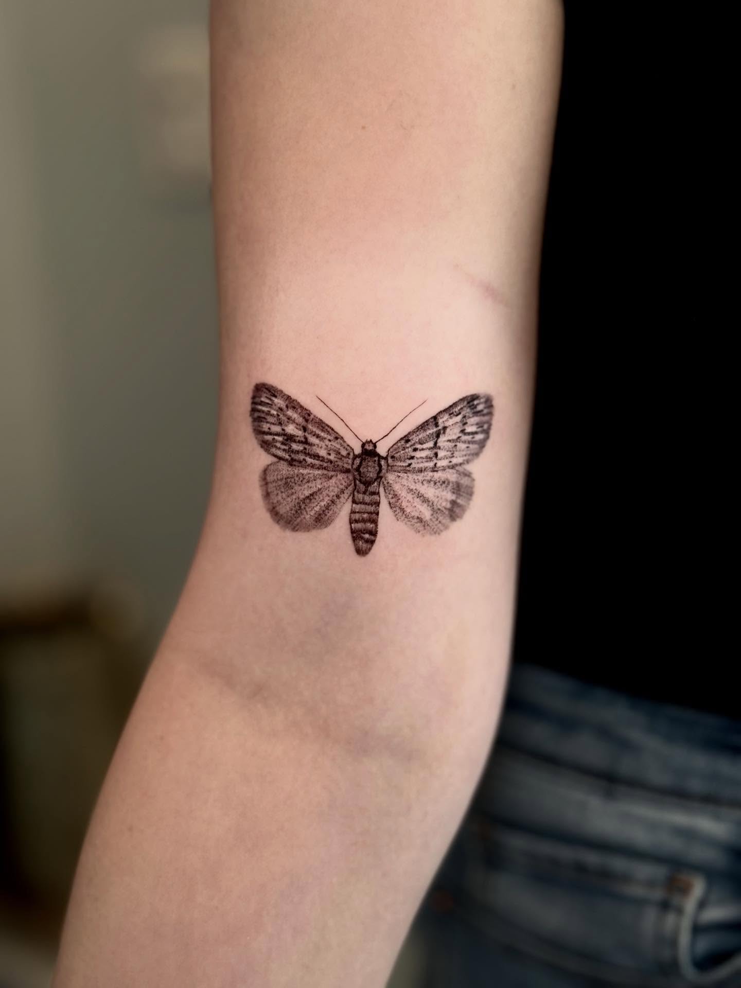 Moth realism tattoo on the forearm by Ana Blatt