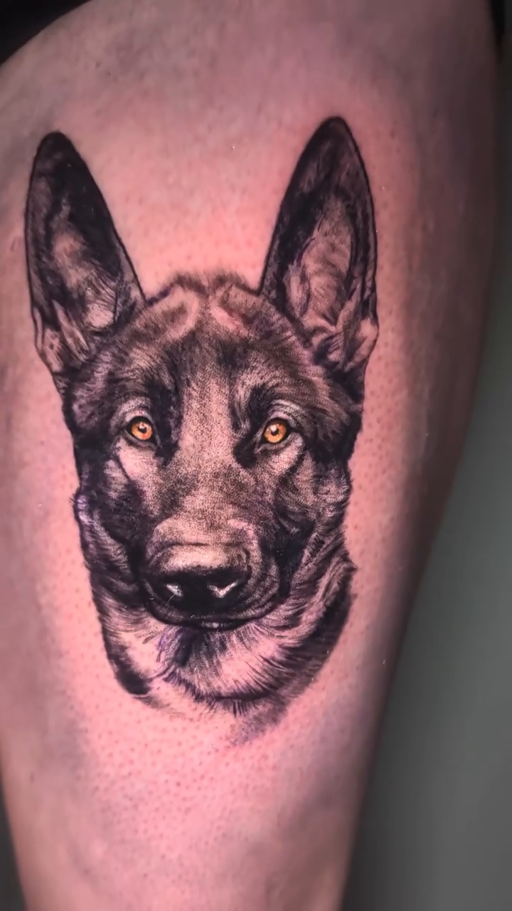 German Shepherd portrait realism tattoo by 💎 Neon